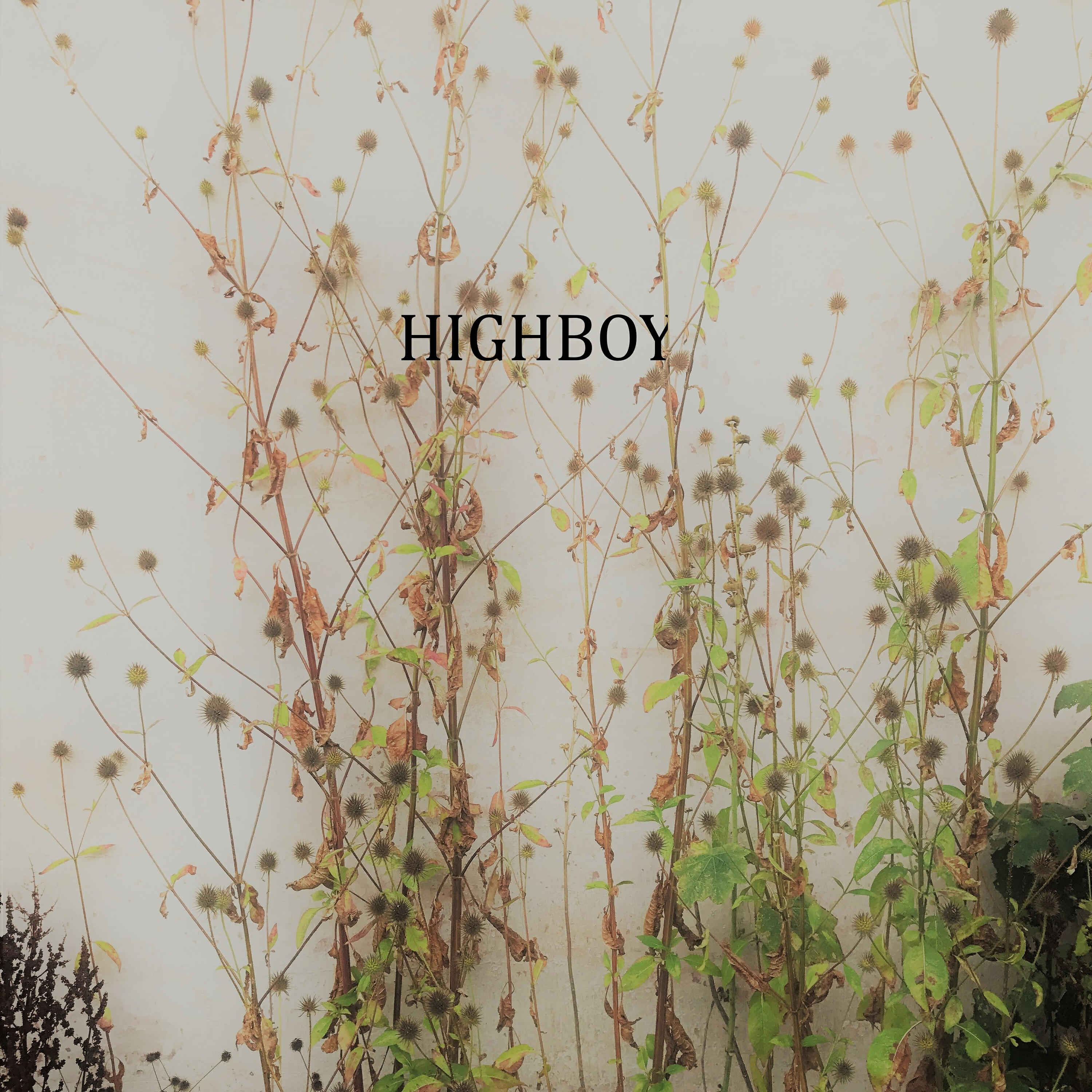 Релиз Highboy