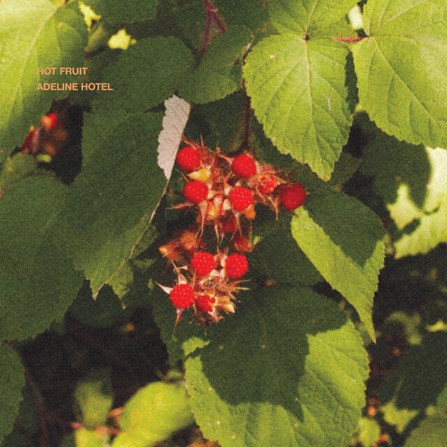 Релиз Hot Fruit