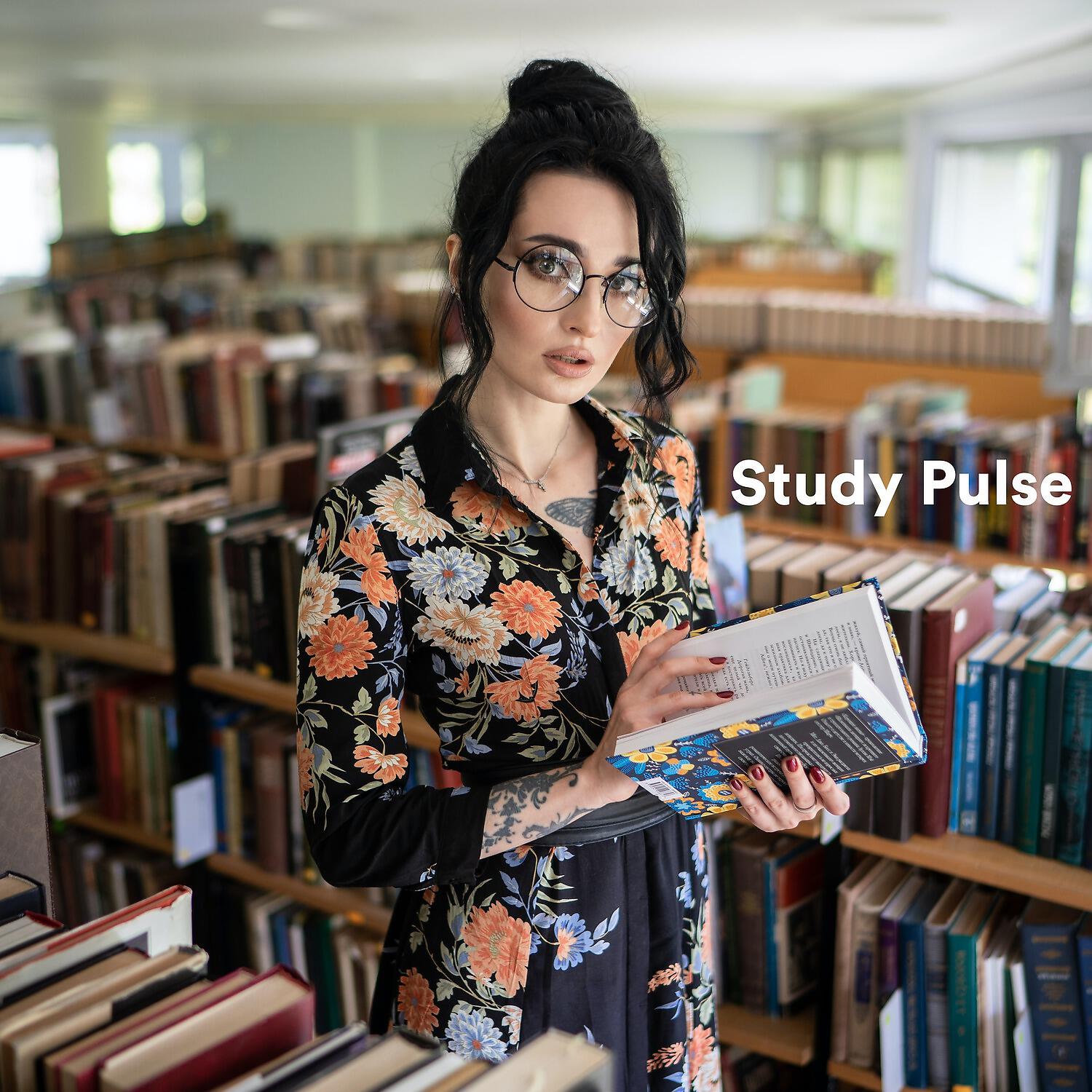 Релиз Study Pulse