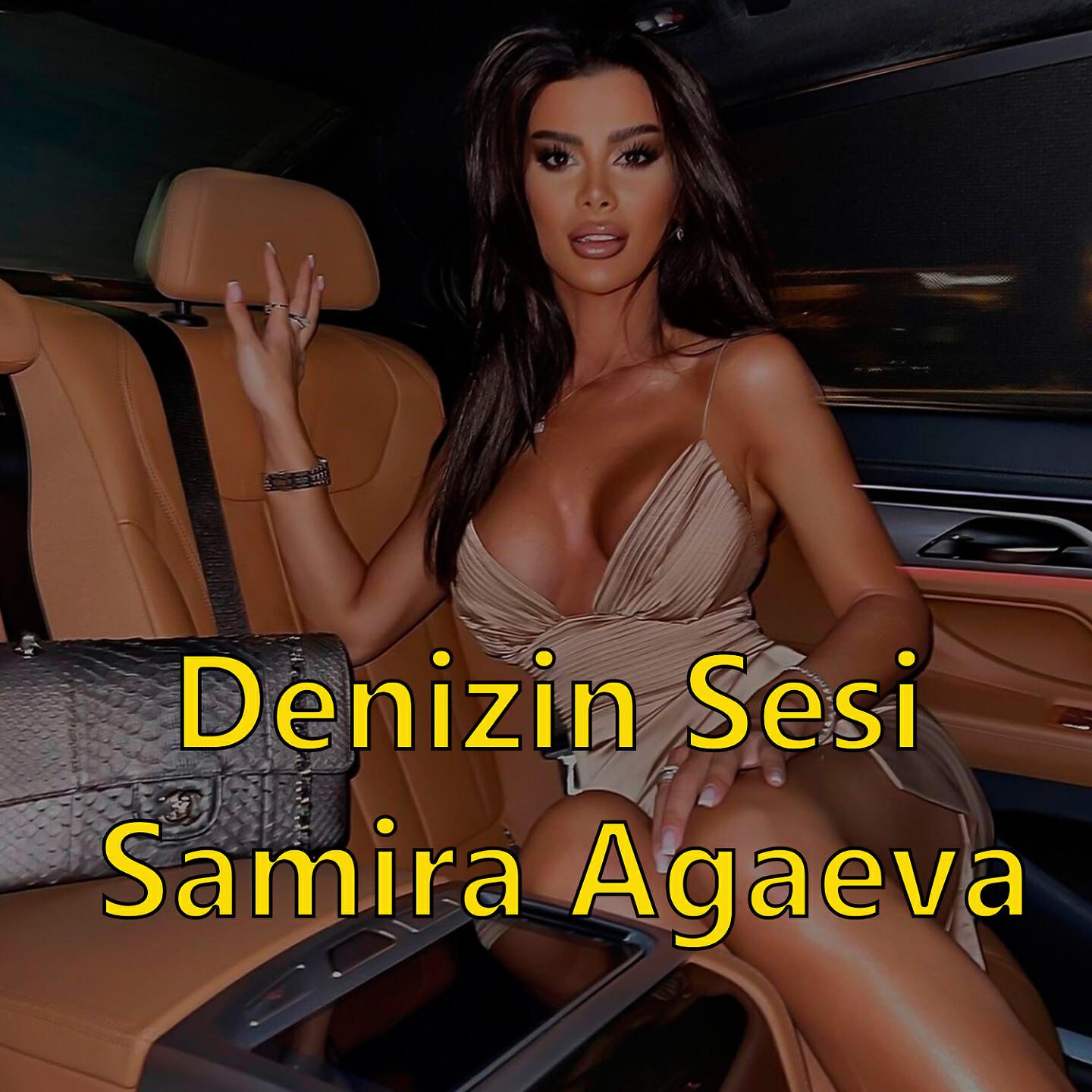 Релиз Denizin Sesi
