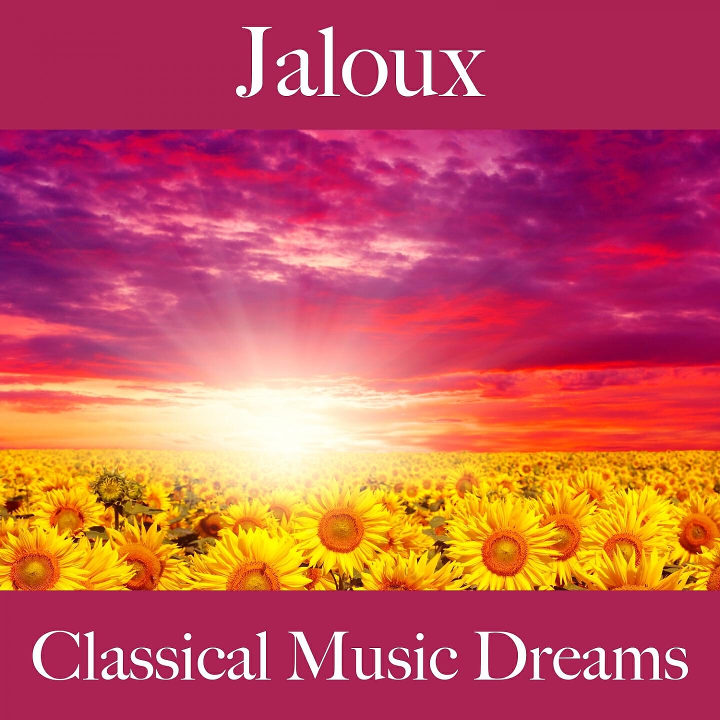 Релиз Jaloux: Classical Music Dreams - La Meilleure Musique Pour Se Sentir Mieux