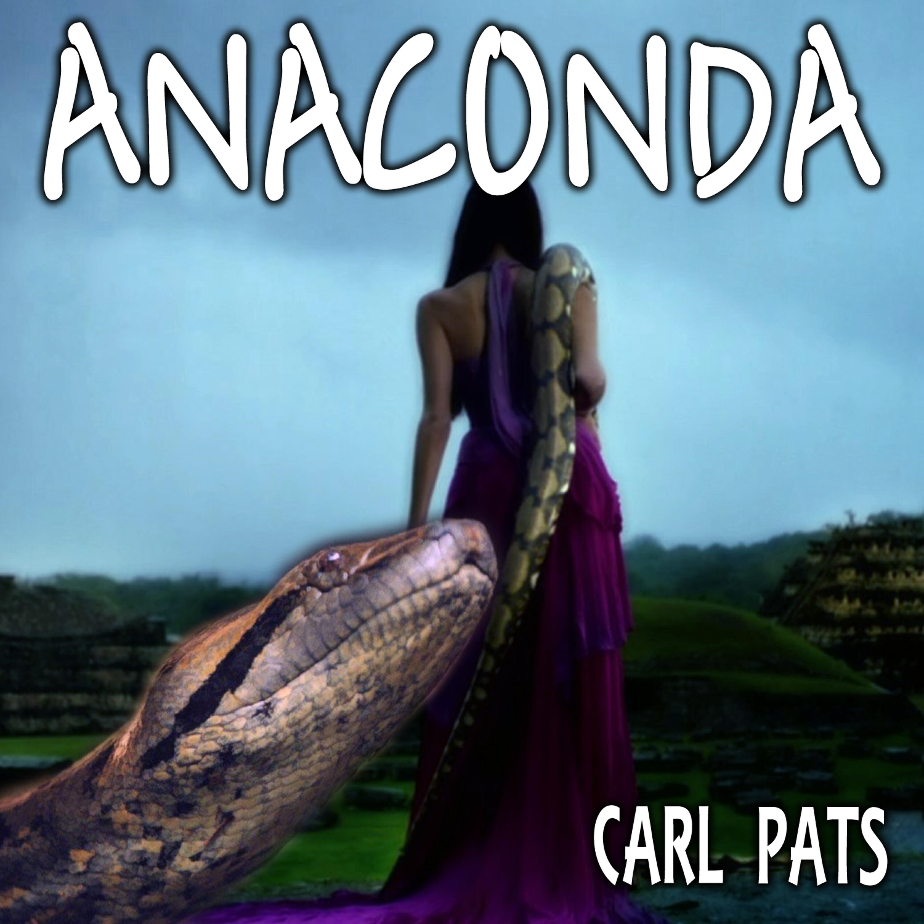 Релиз Anaconda