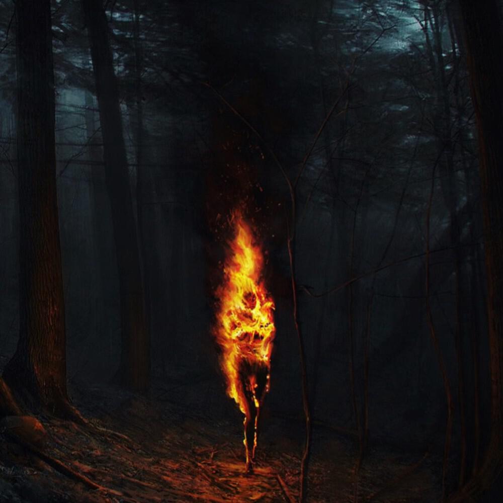 Релиз In Flammen