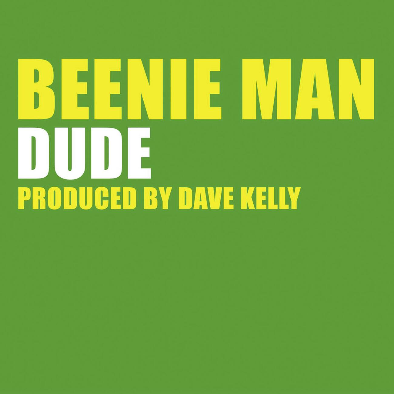 Постер альбома Dude