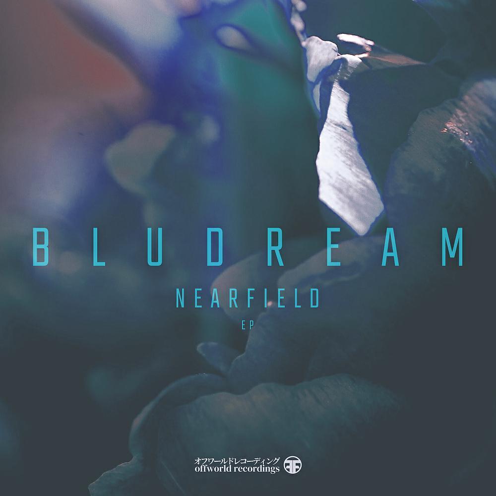 Bludream