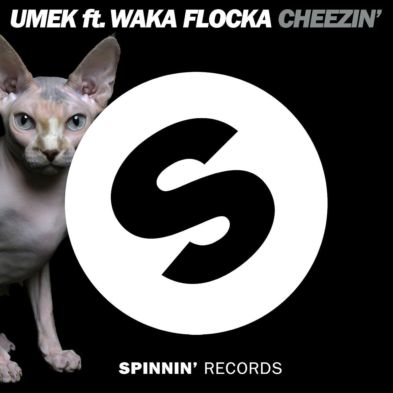 Релиз Cheezin' (feat. Waka Flocka Flame)