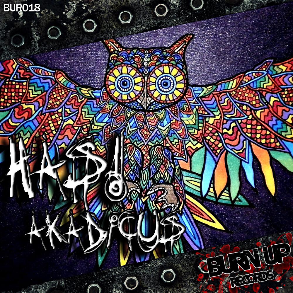 Релиз Akadicus