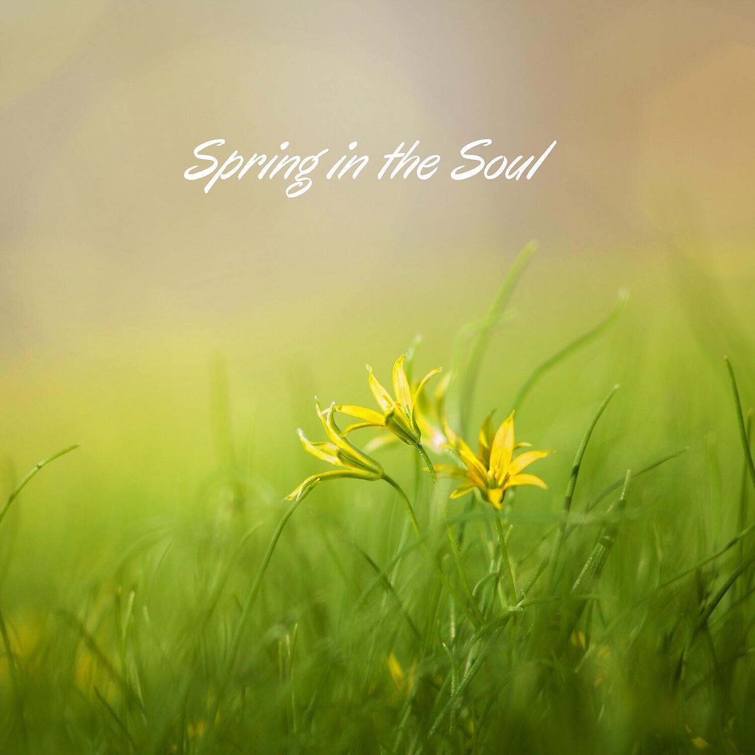 Релиз Spring in the Soul