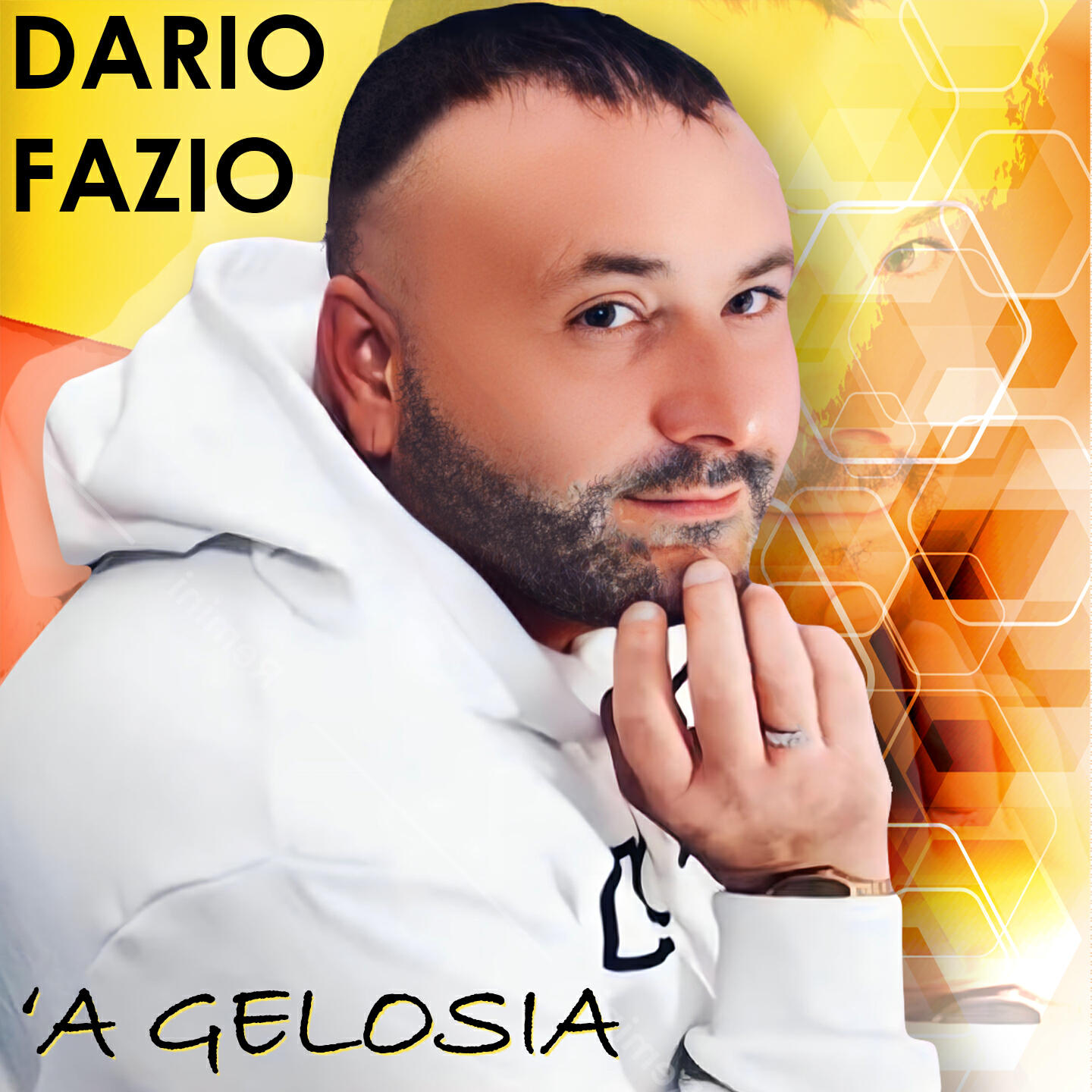 Релиз 'A gelosia
