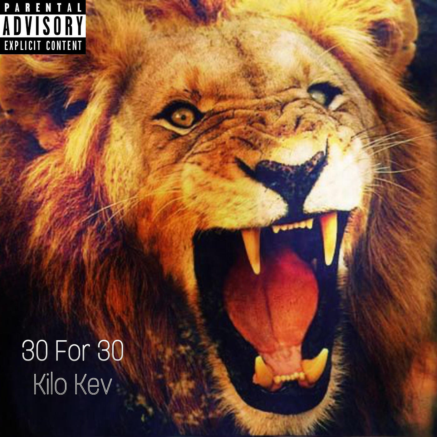 Релиз 30 for 30, Vol. 1
