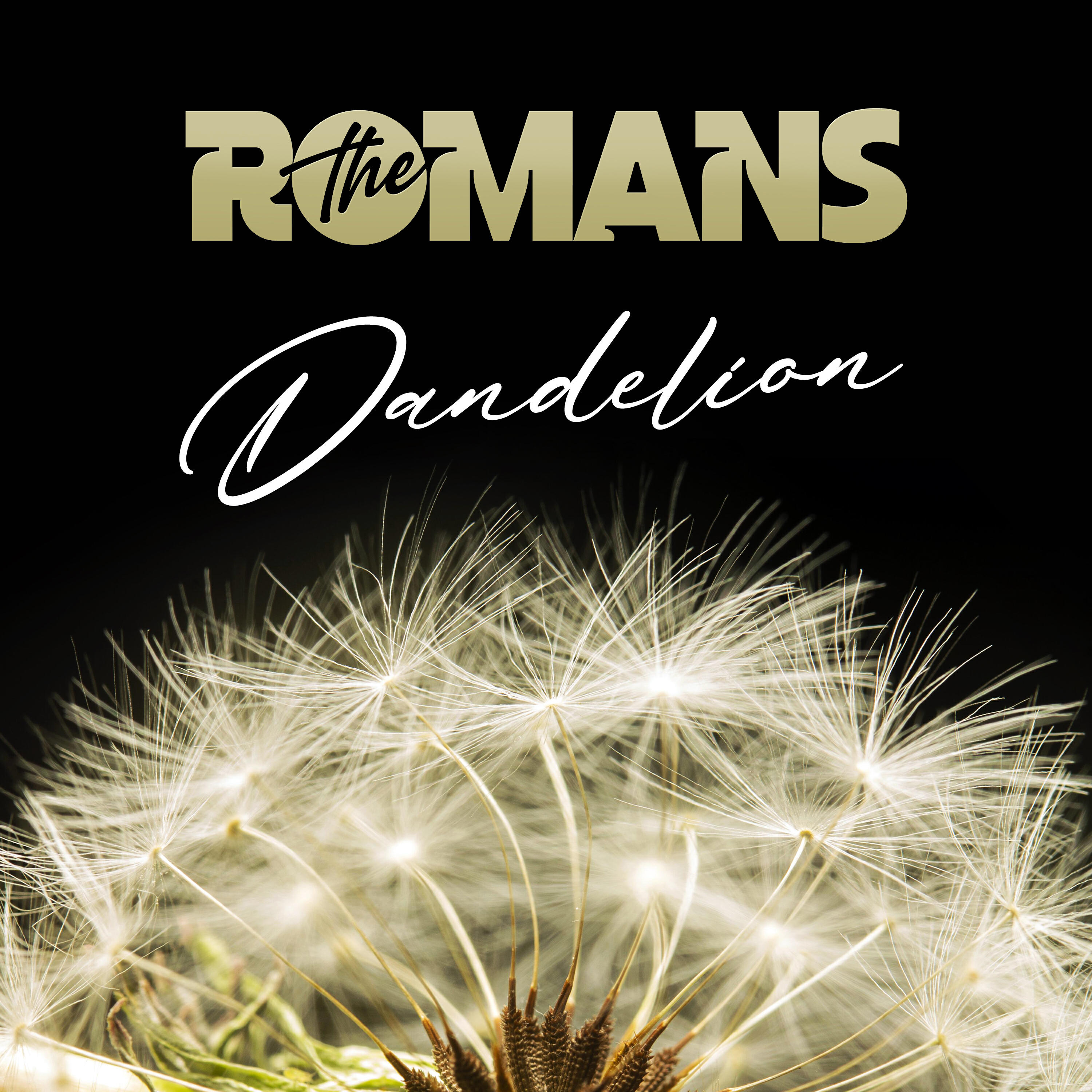 Релиз Dandelion