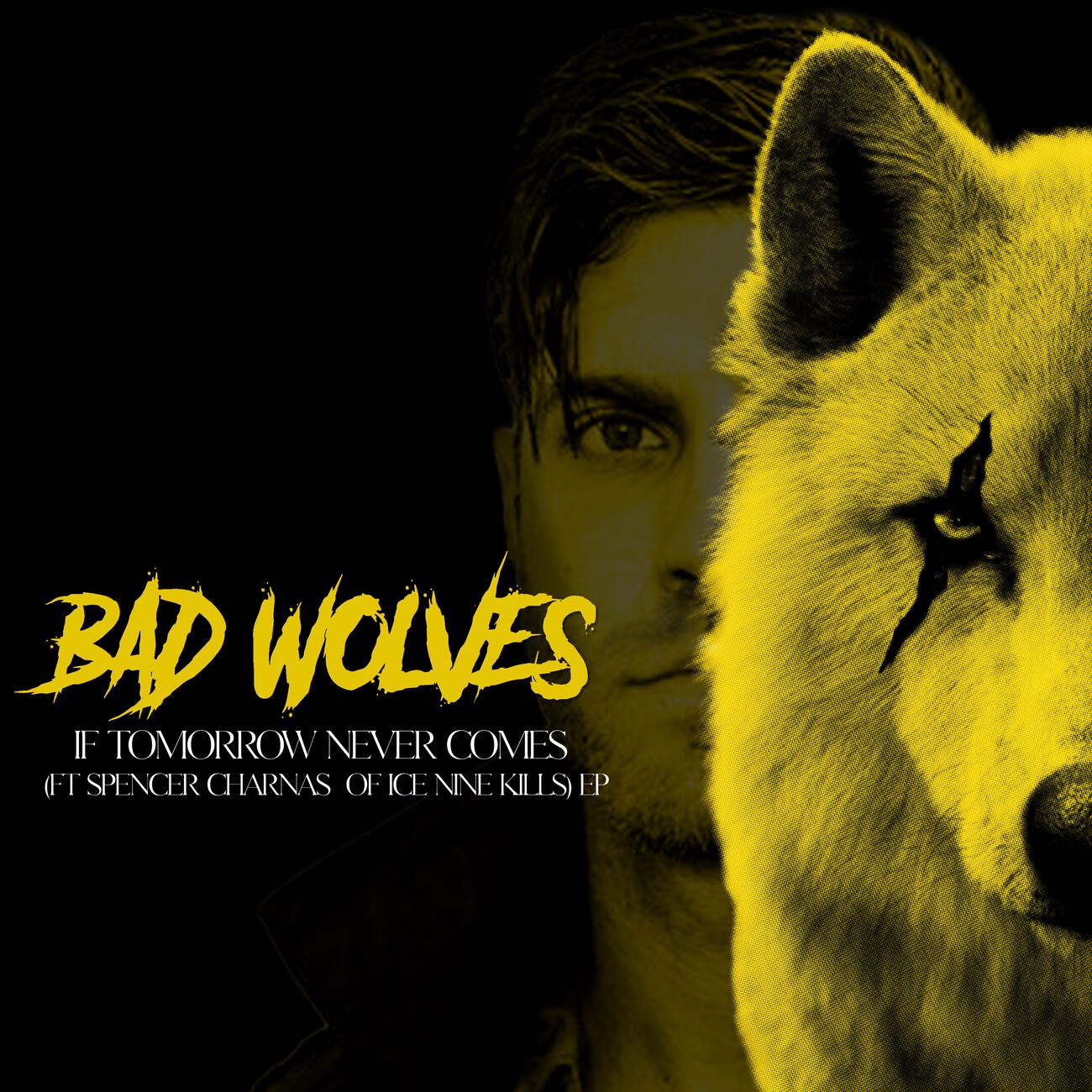 Постер альбома If Tomorrow Never Comes (Feat. Spencer Charnas of Ice Nine Kills)