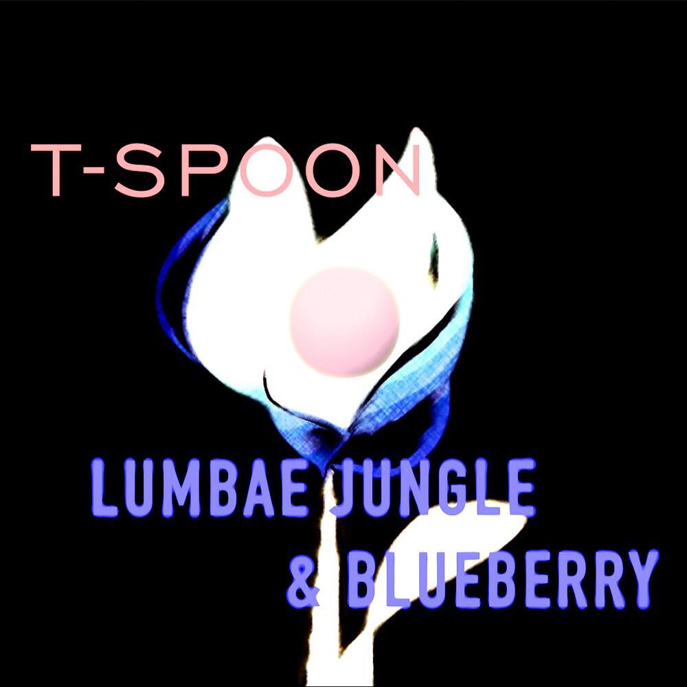 Релиз T-Spoon