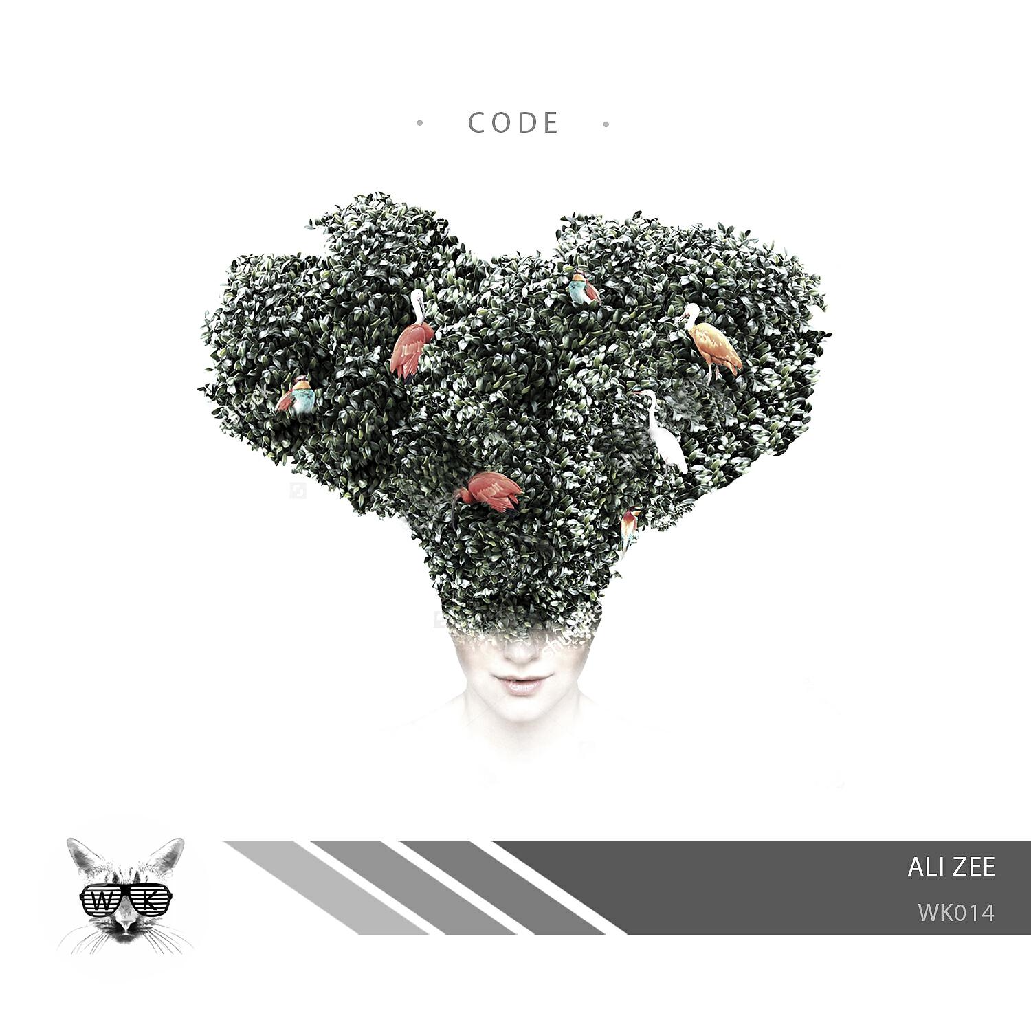Релиз Code