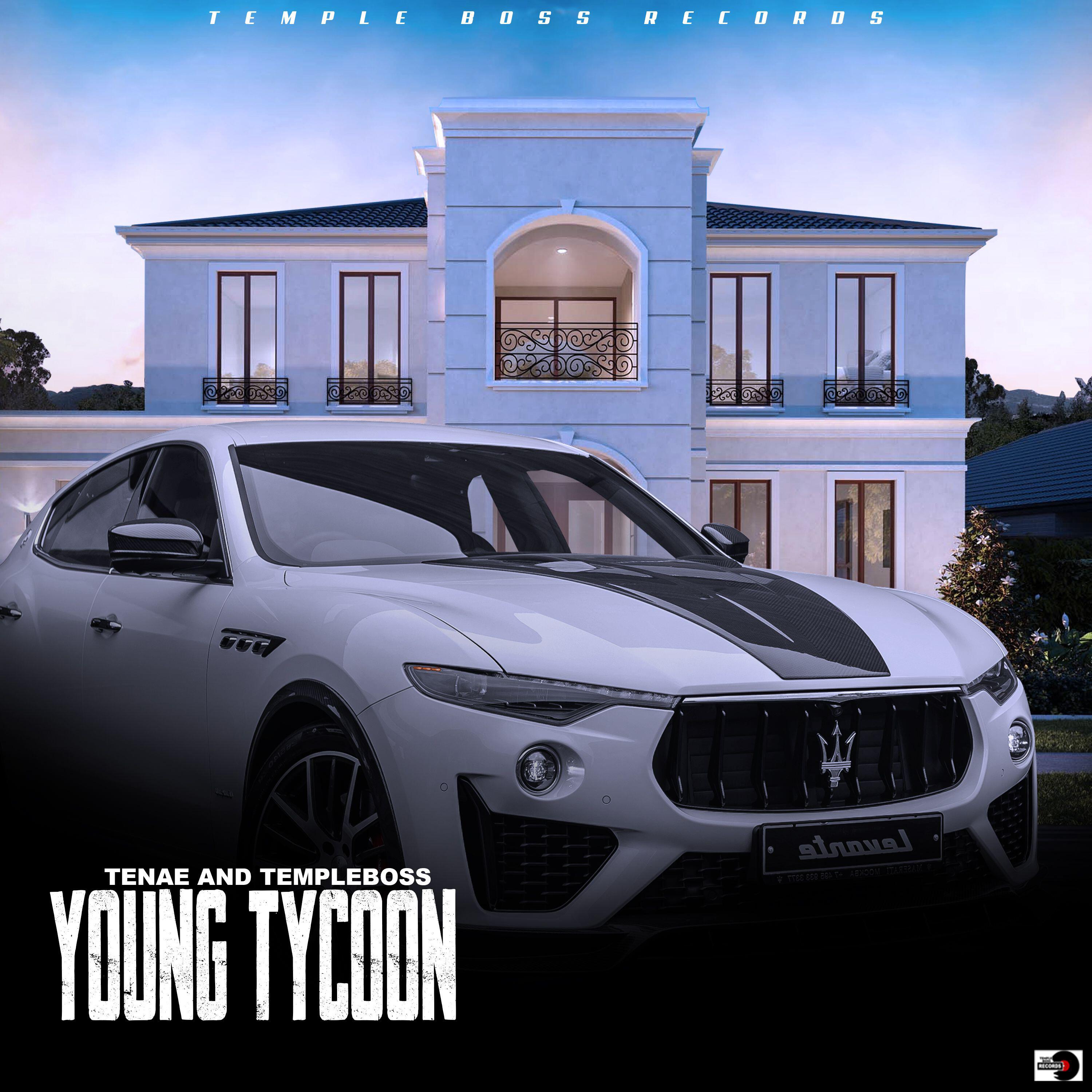 Релиз Young Tycoon