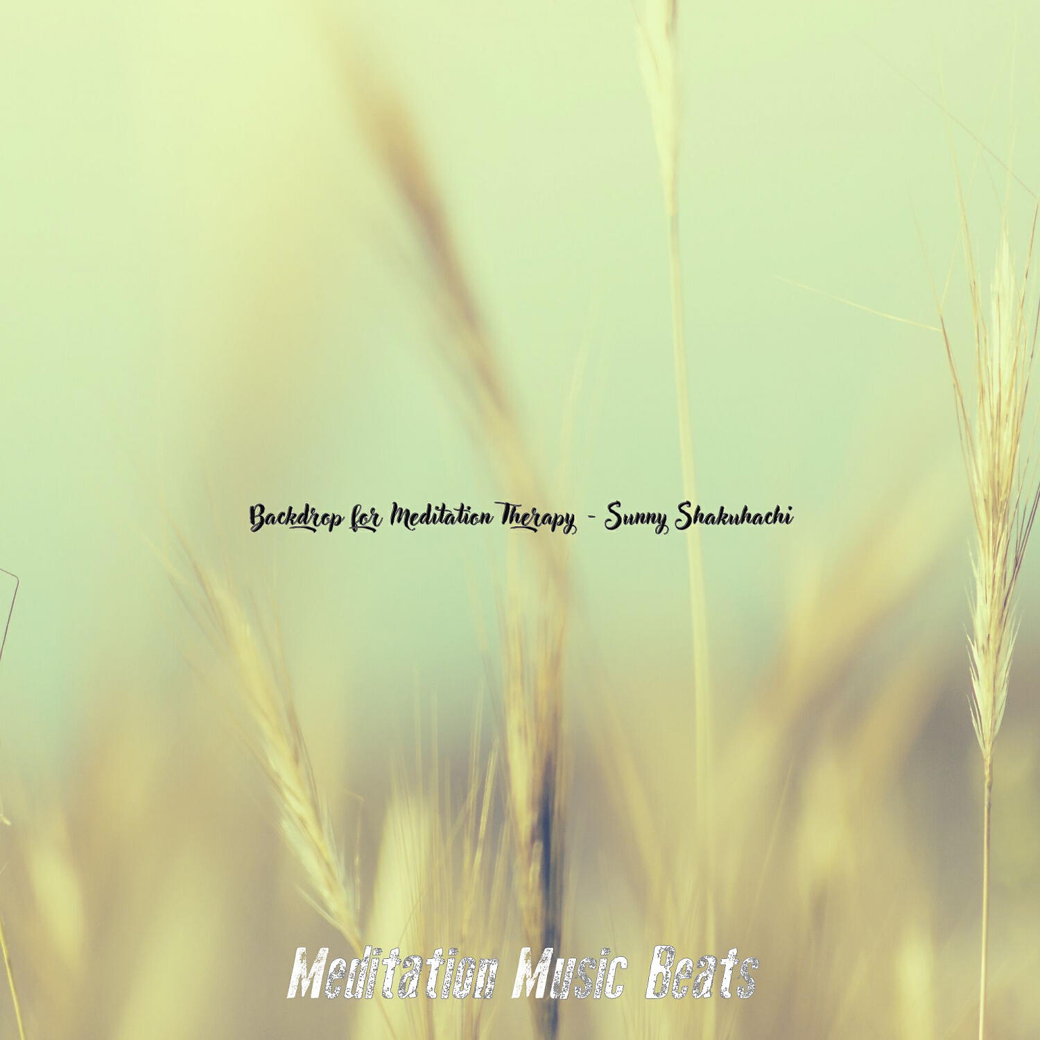 Релиз Backdrop for Meditation Therapy - Sunny Shakuhachi