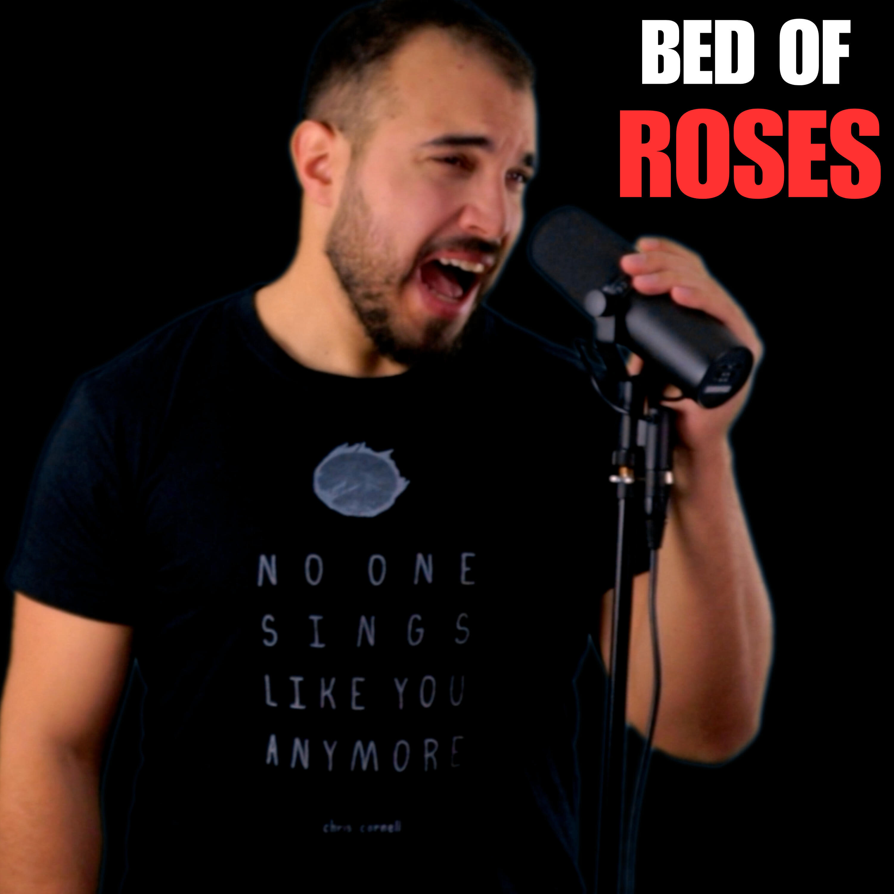 Релиз Bed of Roses