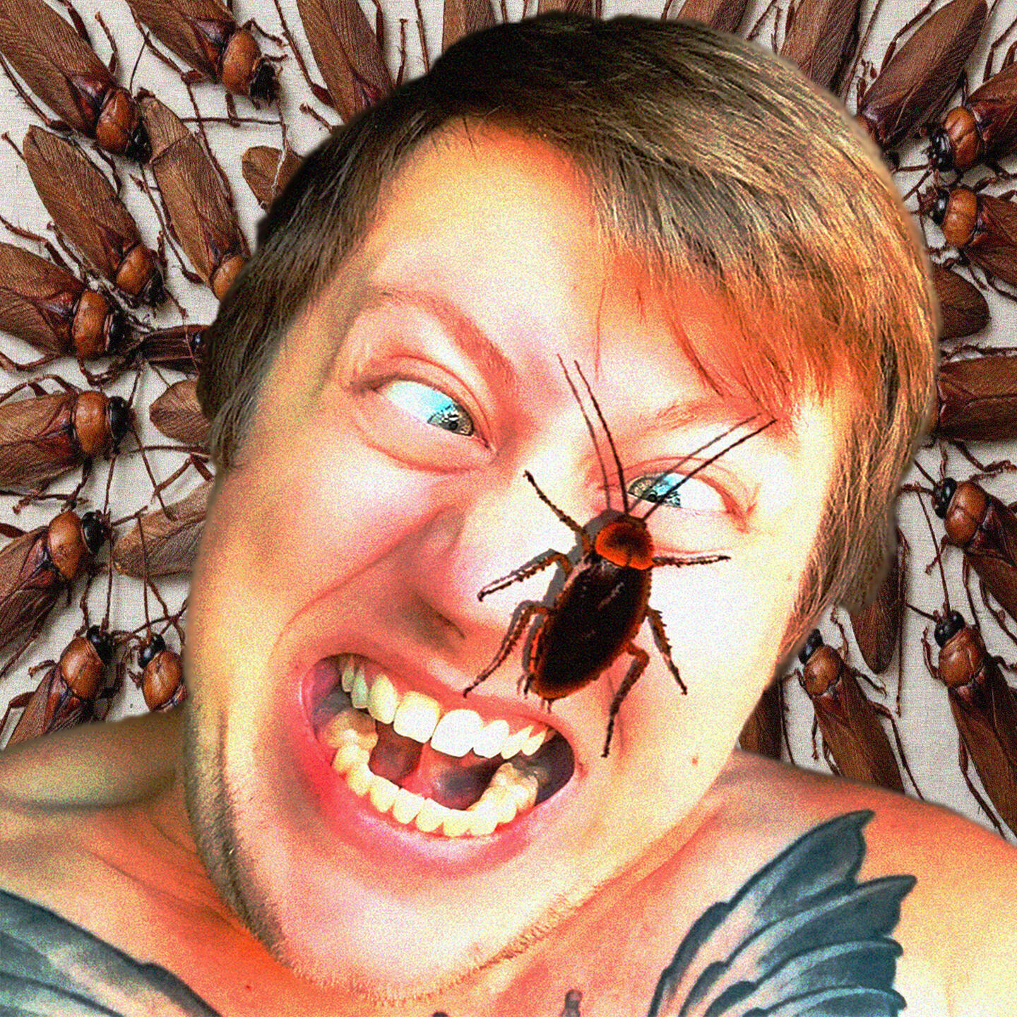 Релиз Cockroaches (Hard LOL Trans)