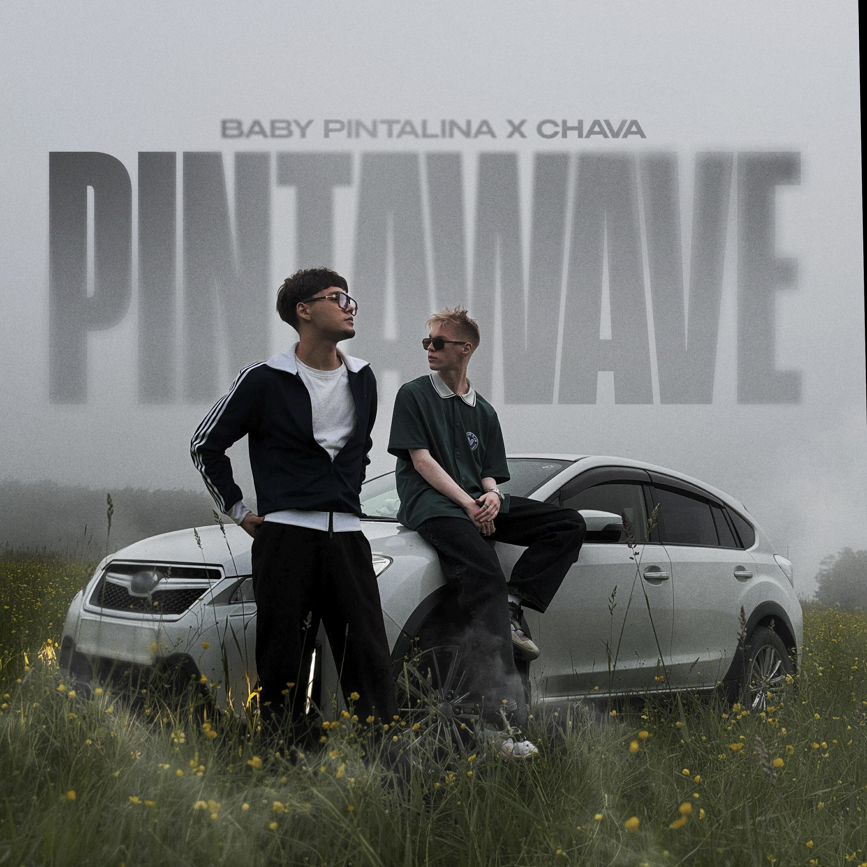 Релиз PINTAWAVE