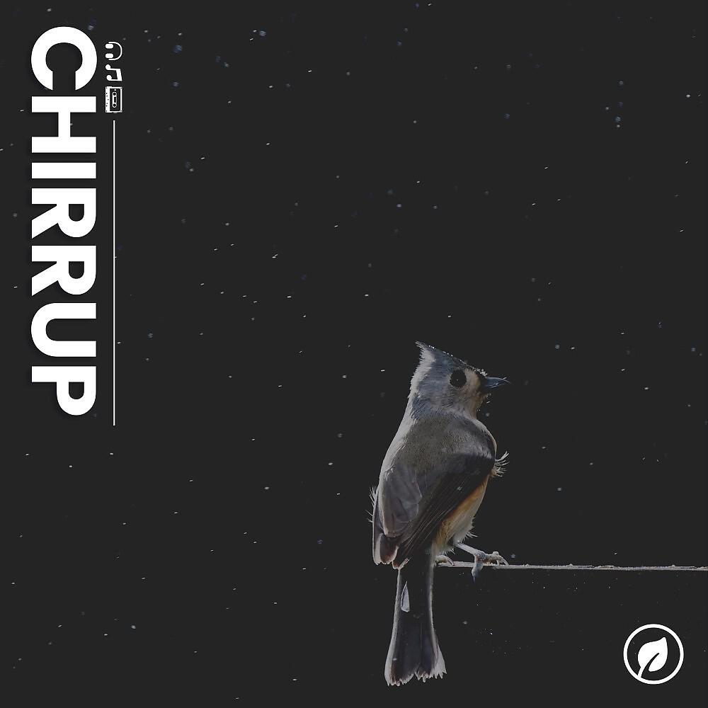 Релиз Chirrup