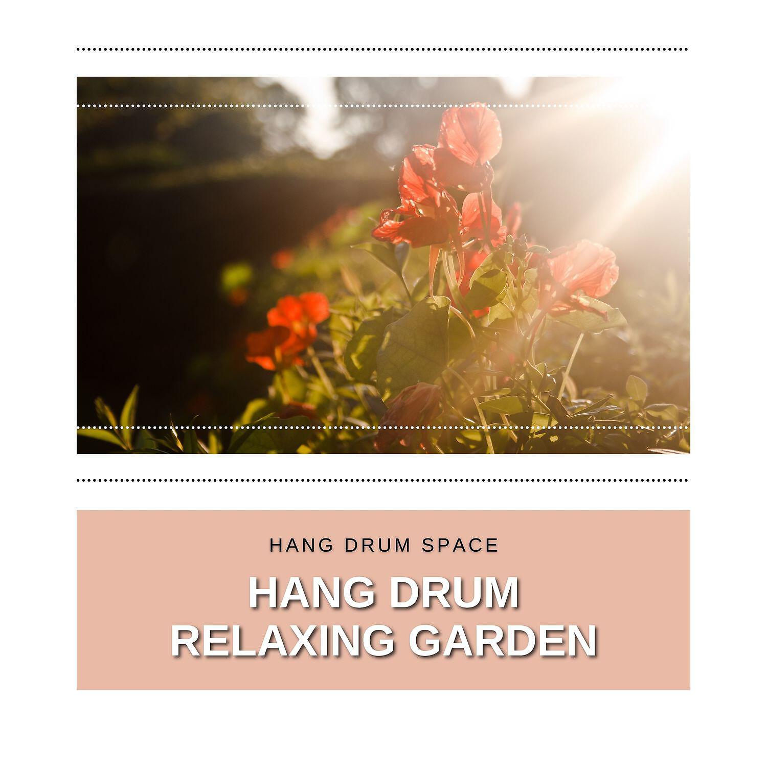 Релиз Hang Drum Relaxing Garden