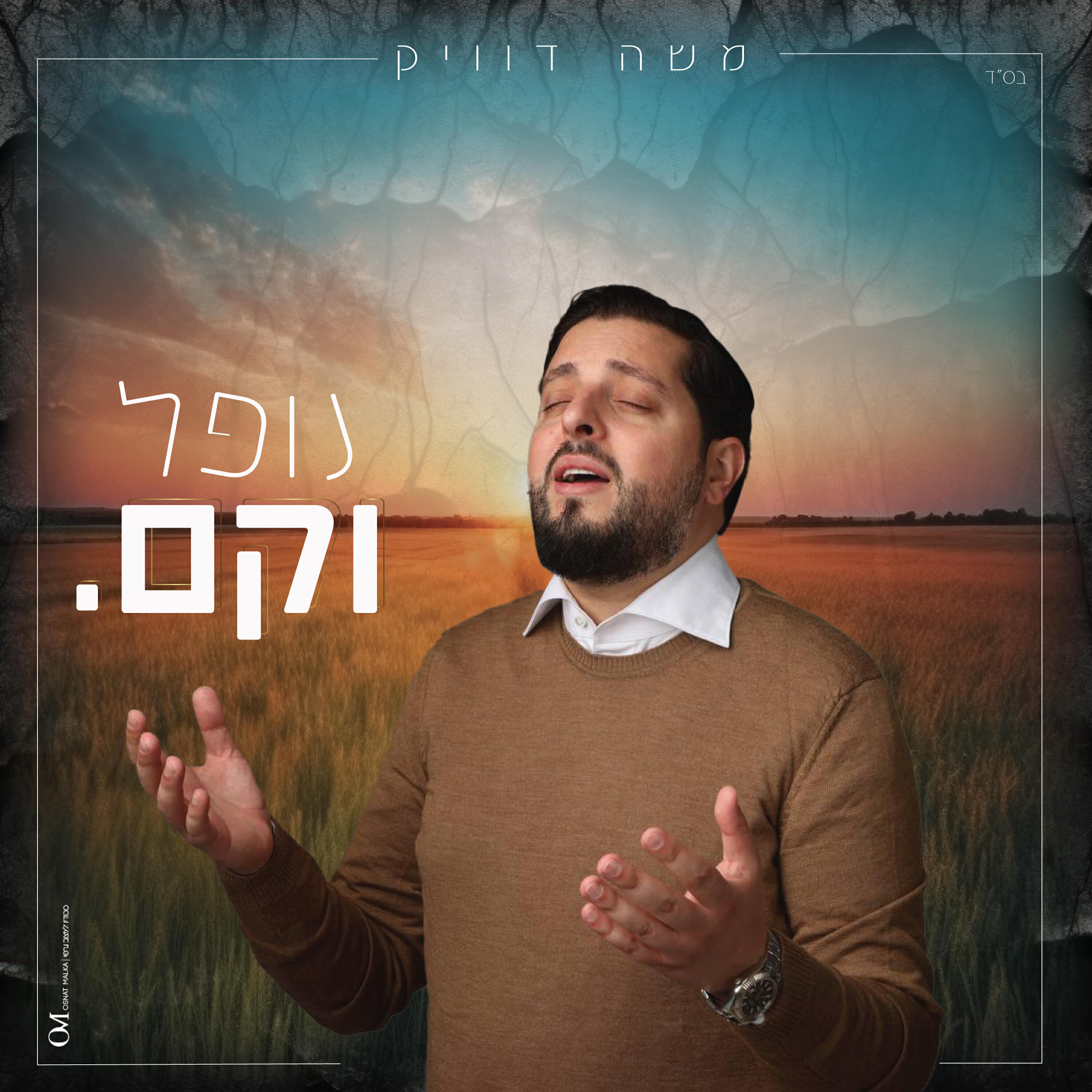 Релиз נופל וקם