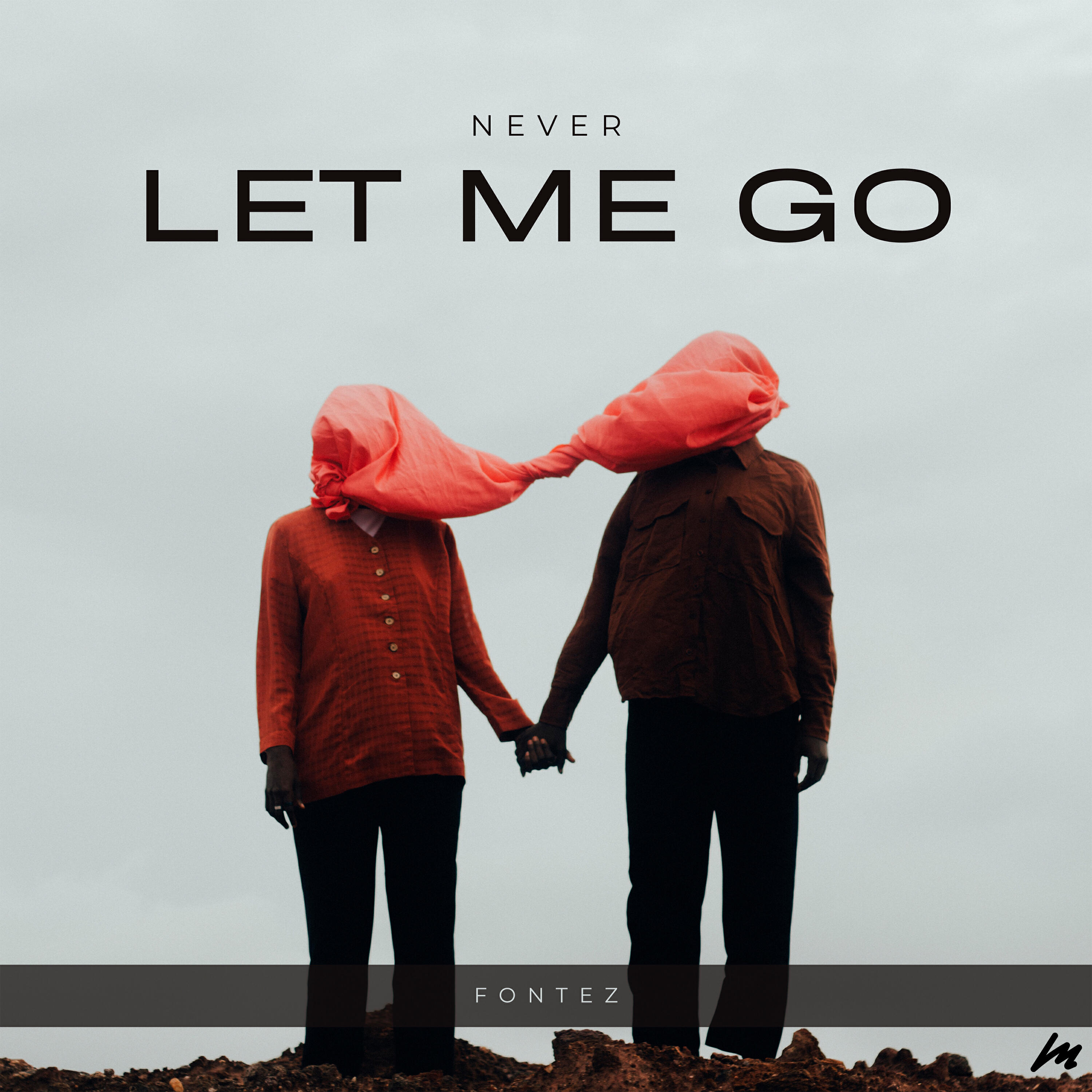 Релиз Never Let Me Go