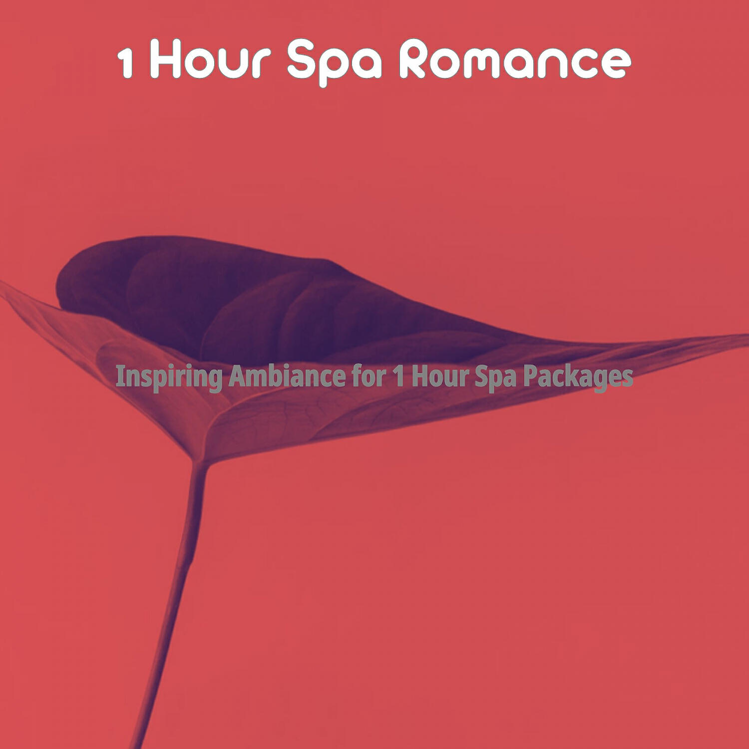 Релиз Inspiring Ambiance for 1 Hour Spa Packages