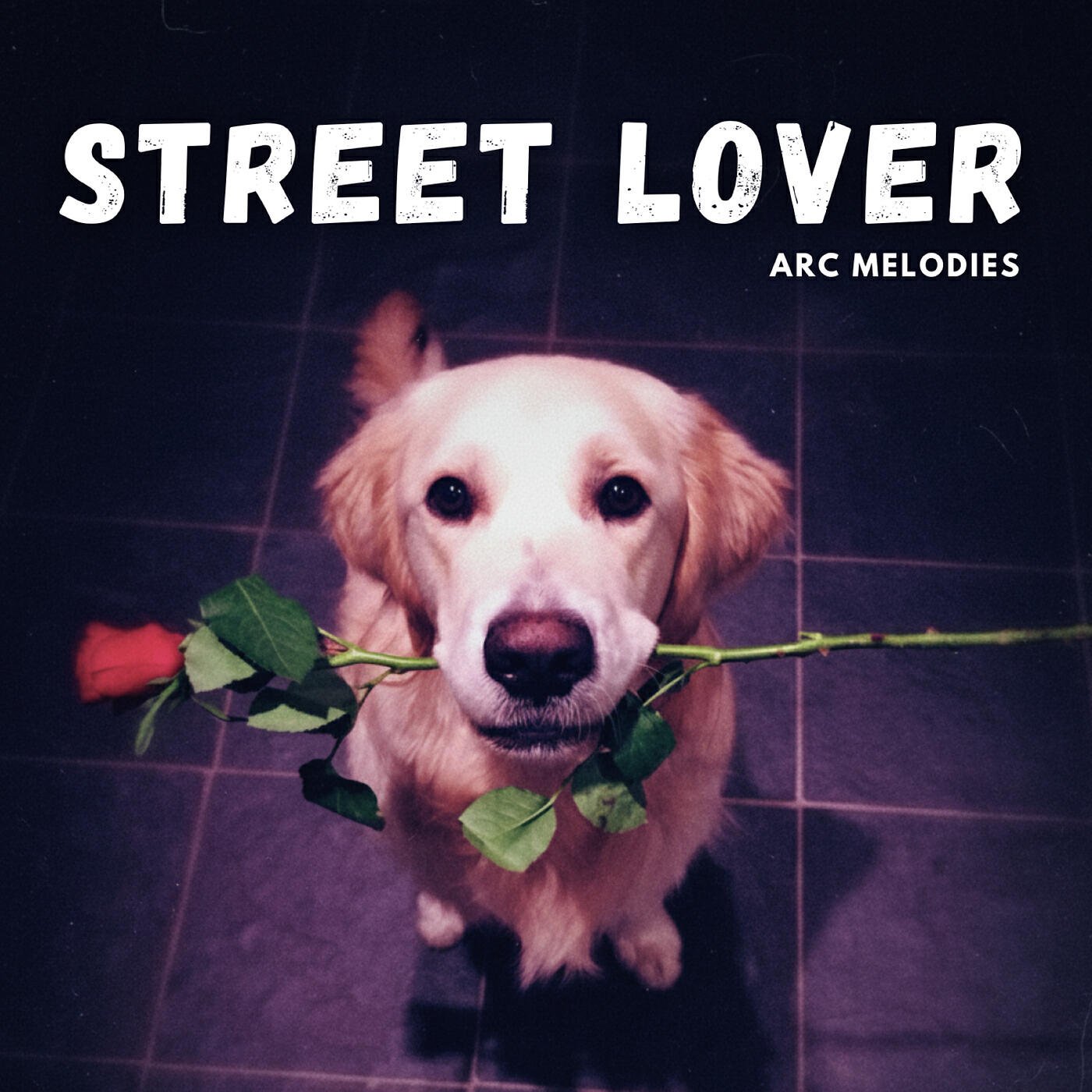 Релиз Street Lover