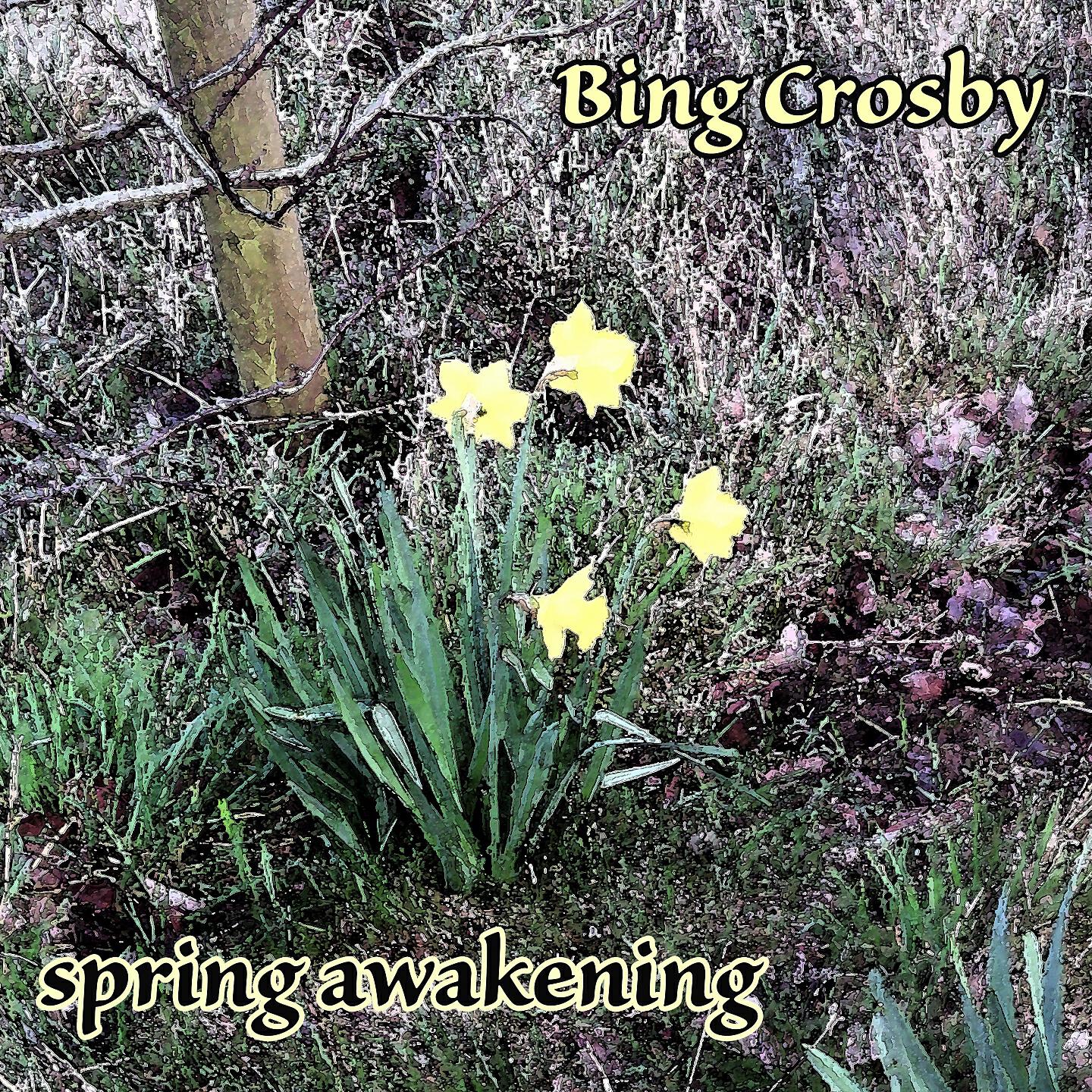 Постер альбома Spring Awakening