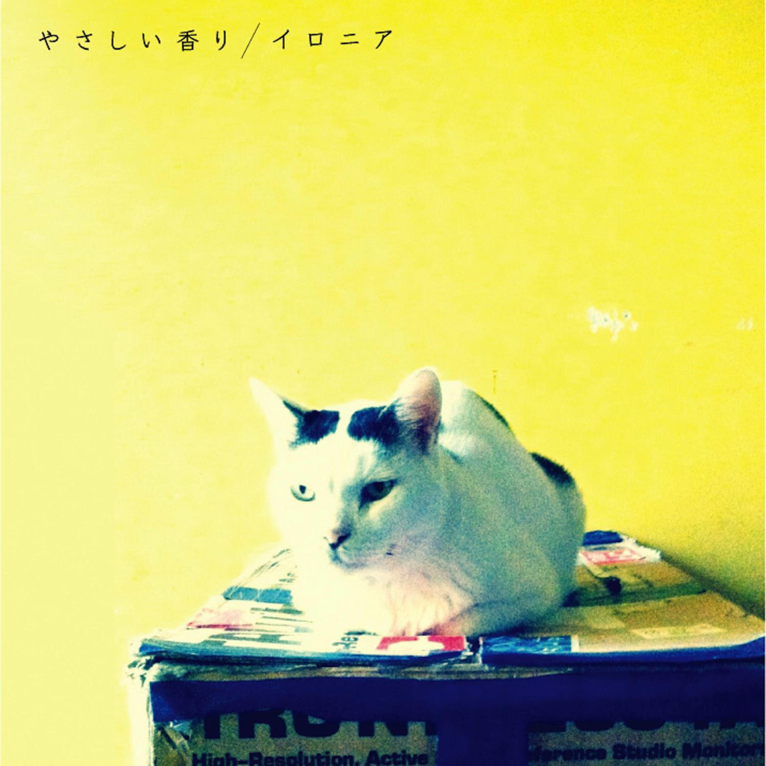Релиз Yasashiikaori