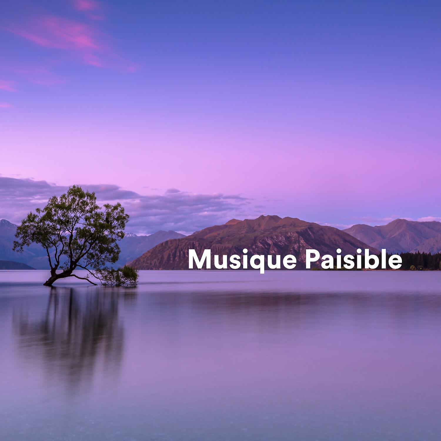 Релиз Musique Paisible