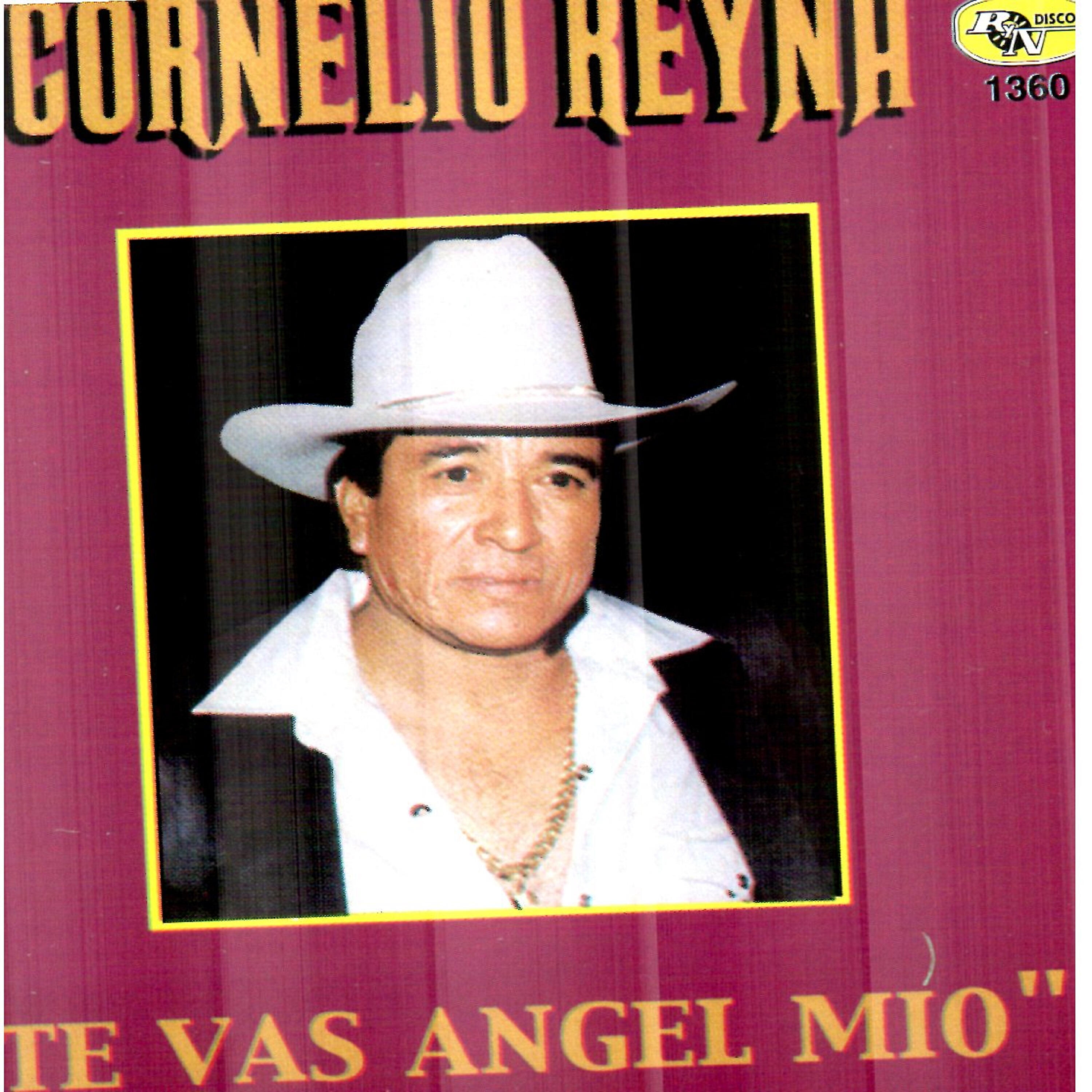 Релиз Te Vas Angel Mio