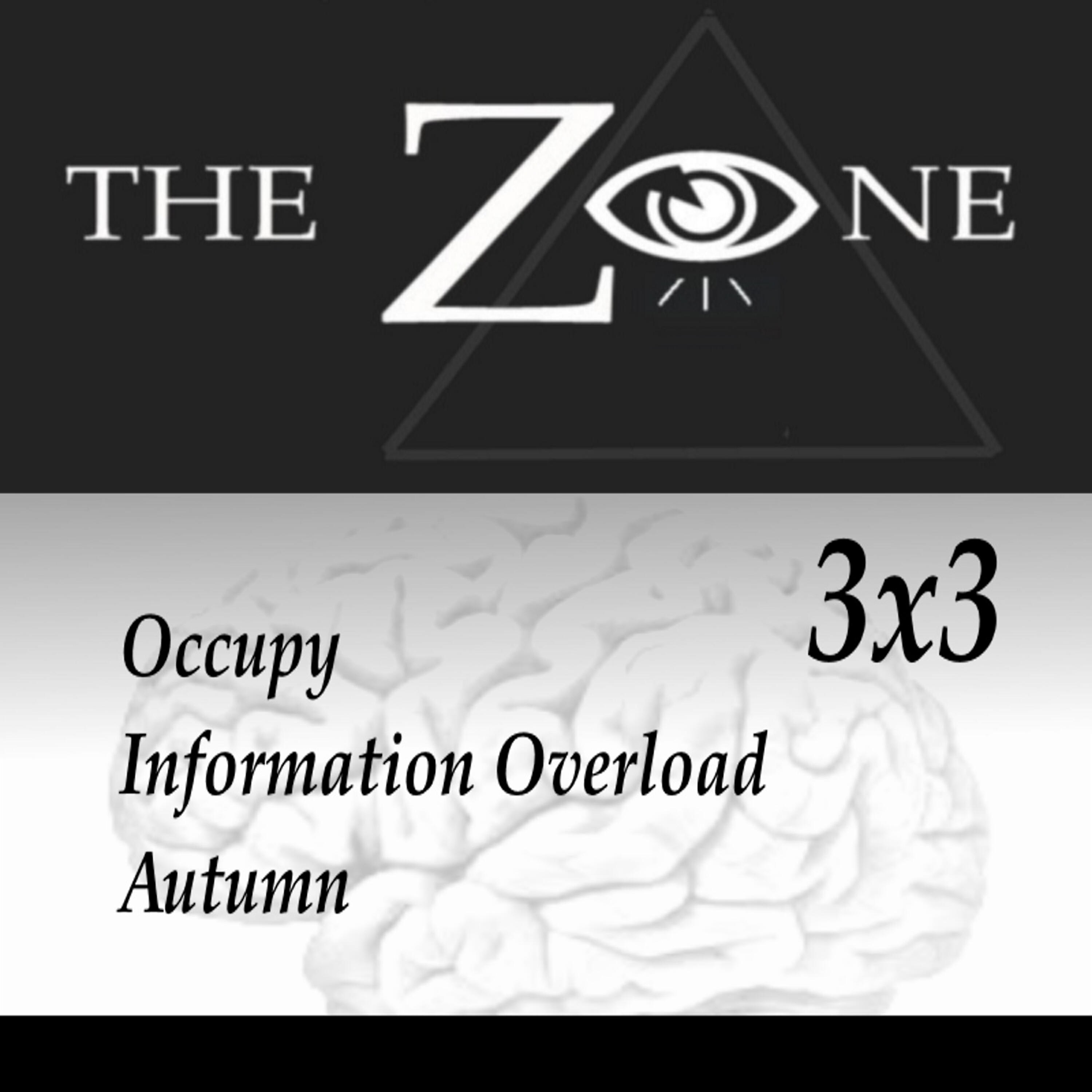 Релиз The Zone 3x3 2014
