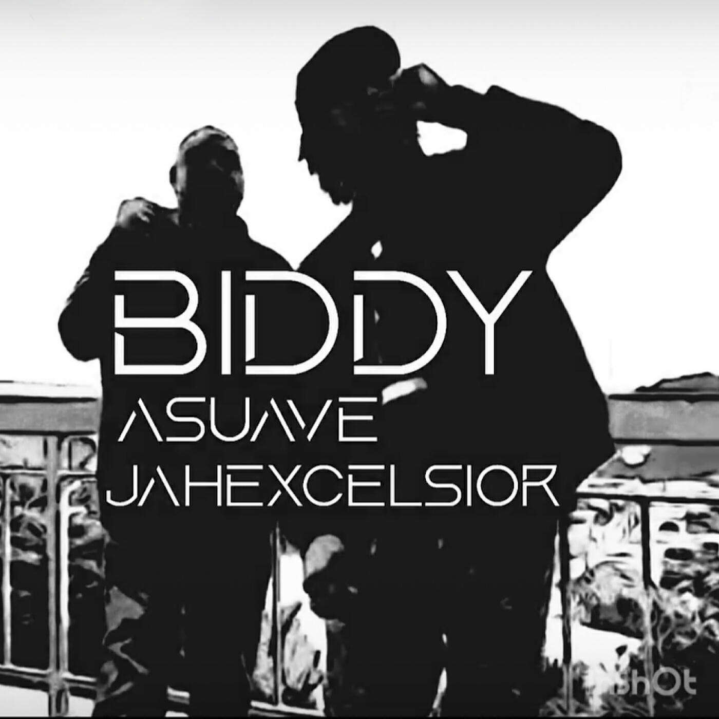 Релиз Biddy