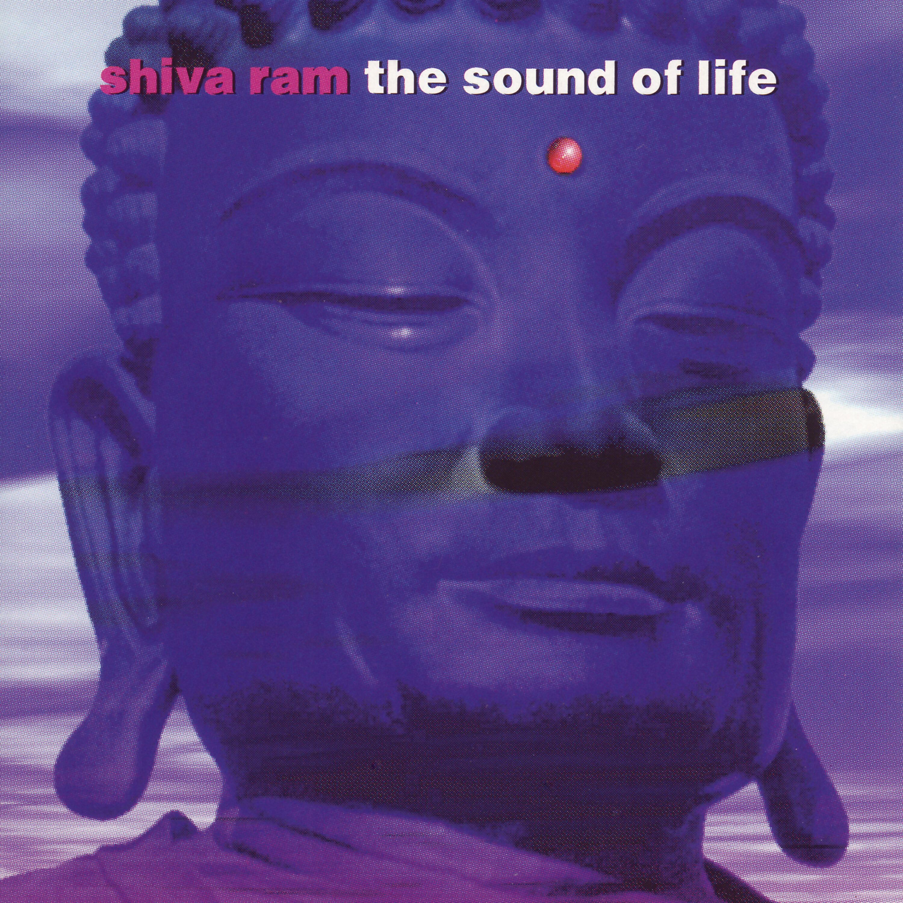 Релиз The Sound of Life