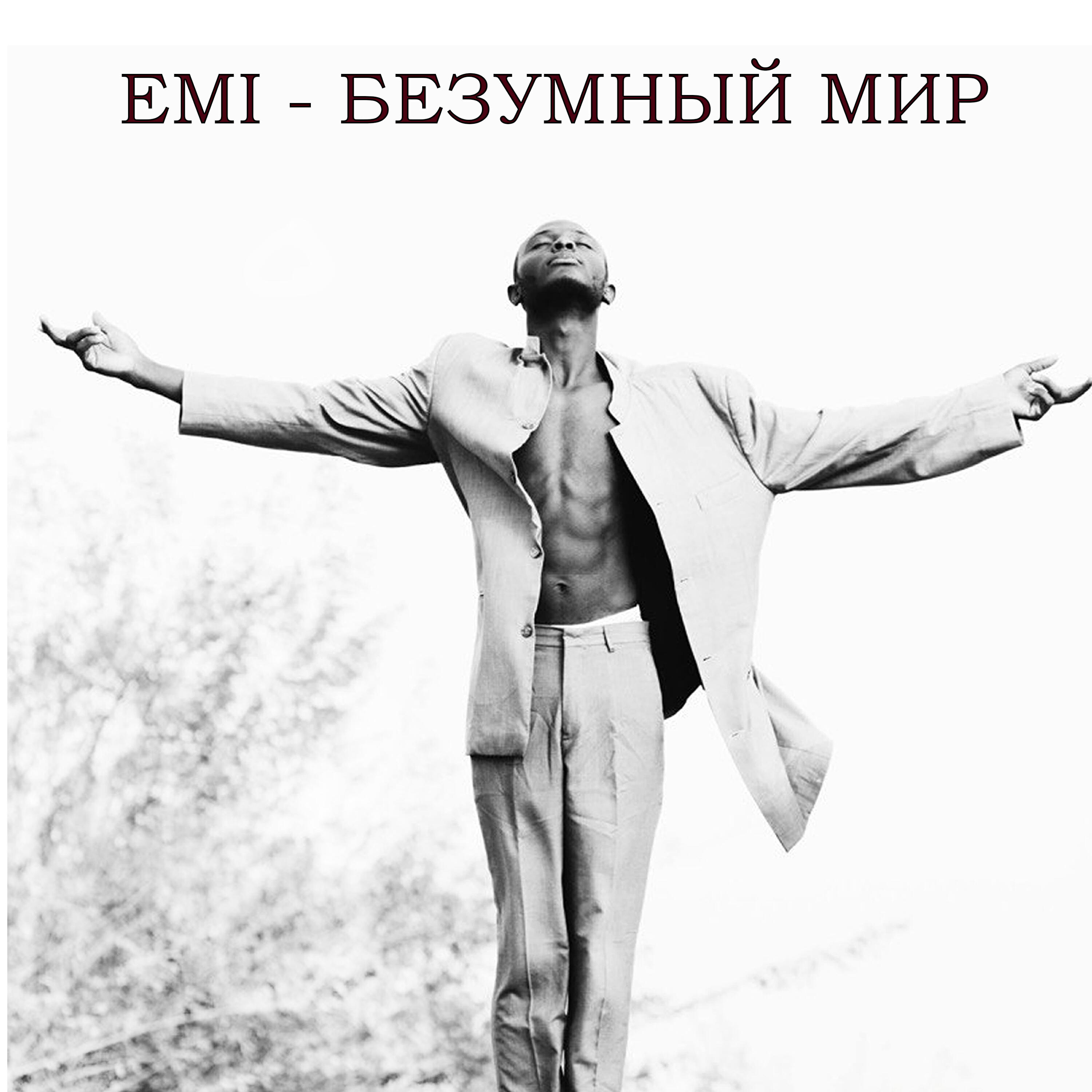 Постер альбома Безумный мир
