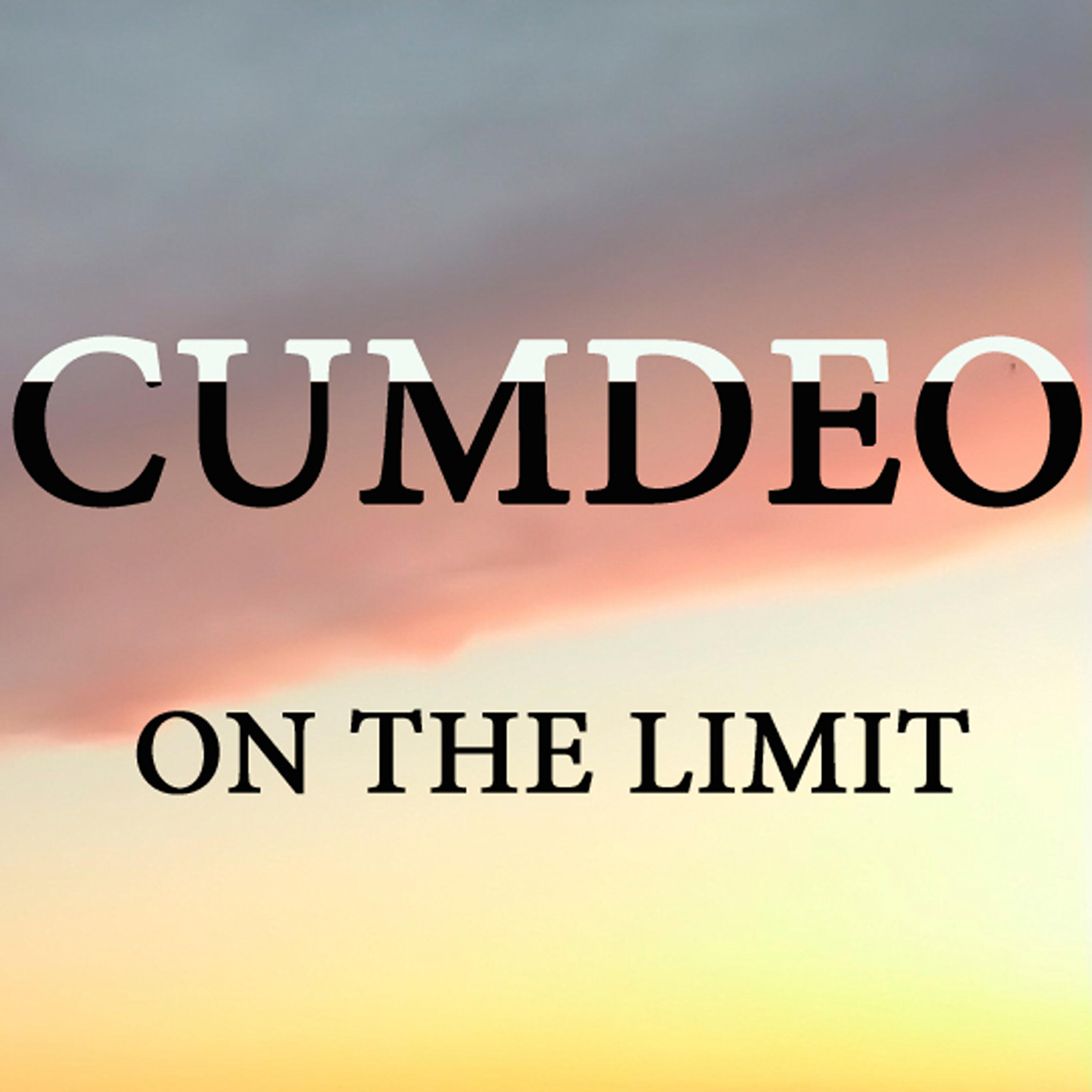 Постер альбома On the Limit