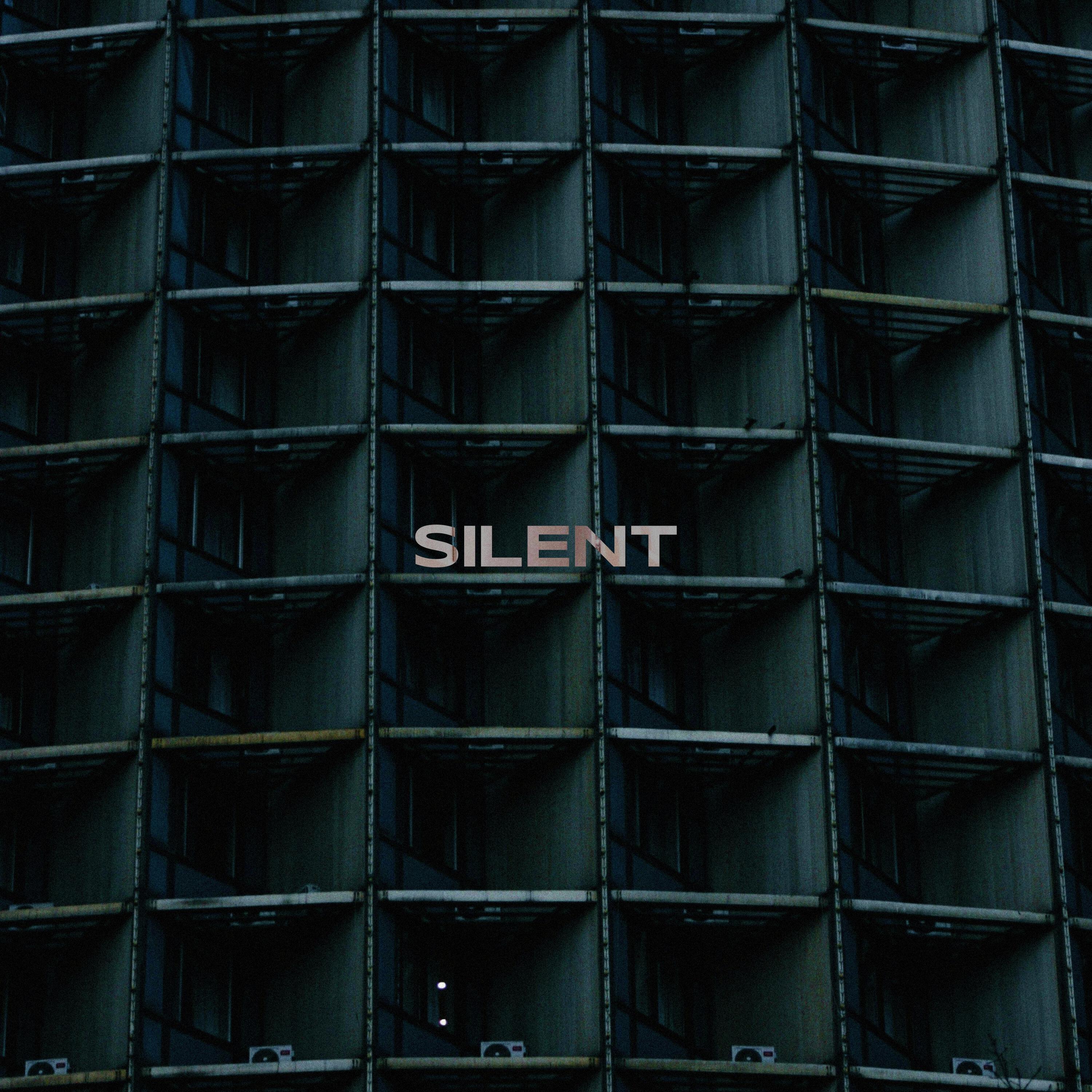 Релиз SILENT
