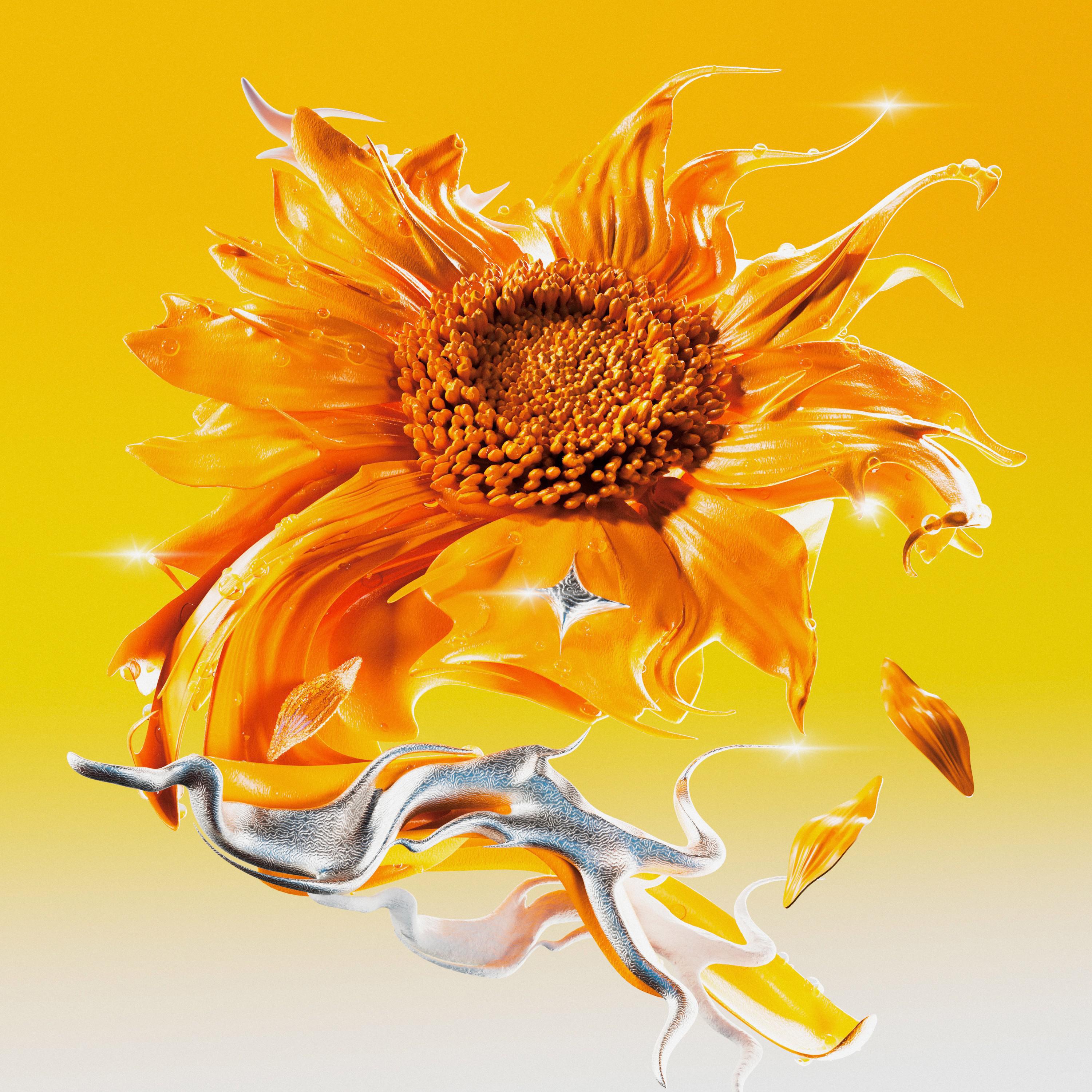 Релиз 太阳花