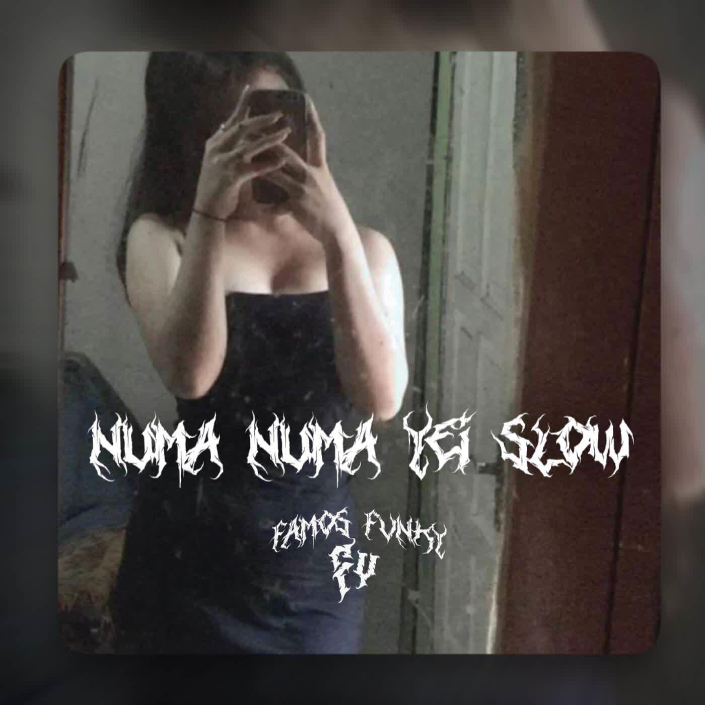 Релиз DJ NUMA NUMA YEI SLOW MENGKANE