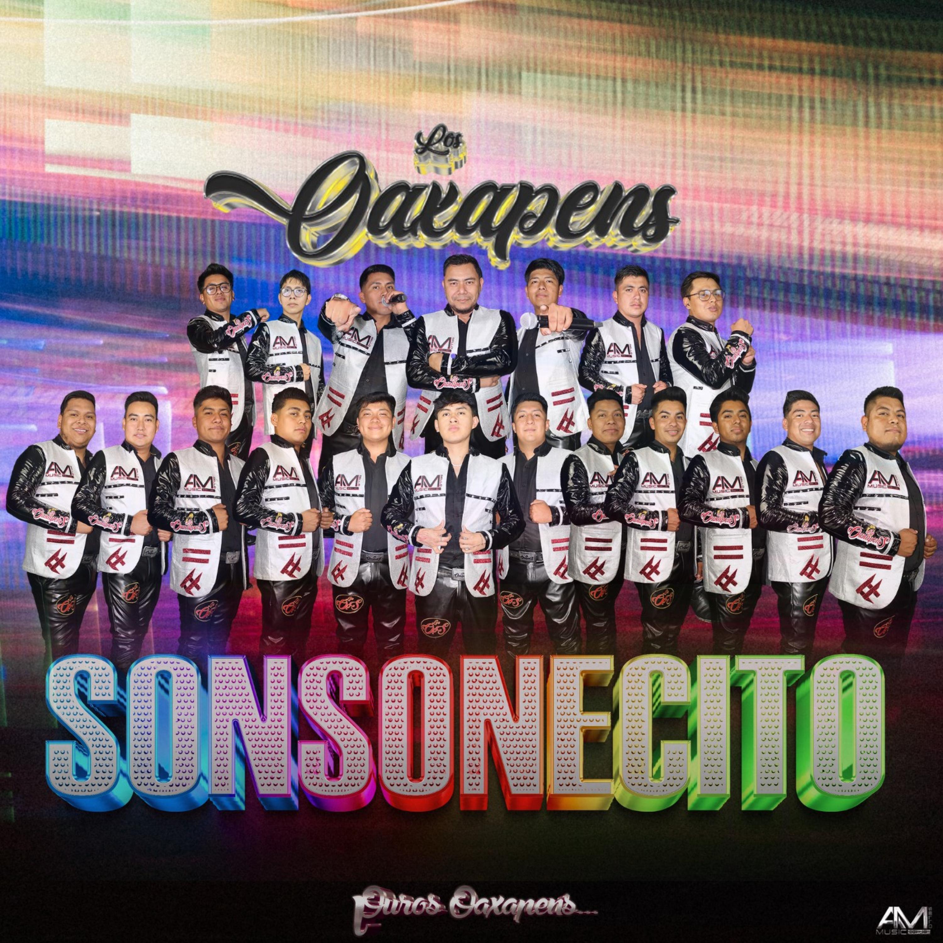 Релиз SONSONECITO