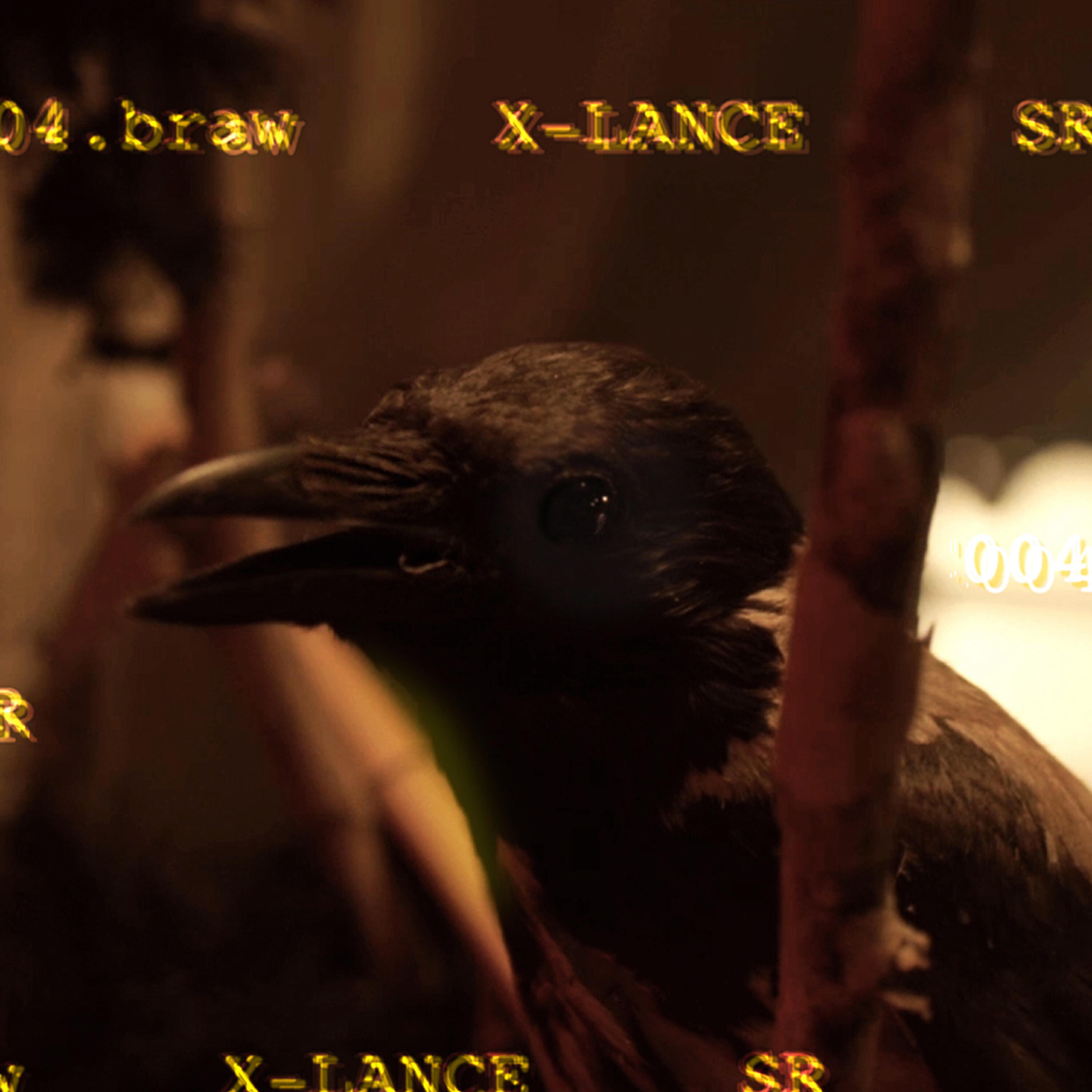 Релиз XLANCE