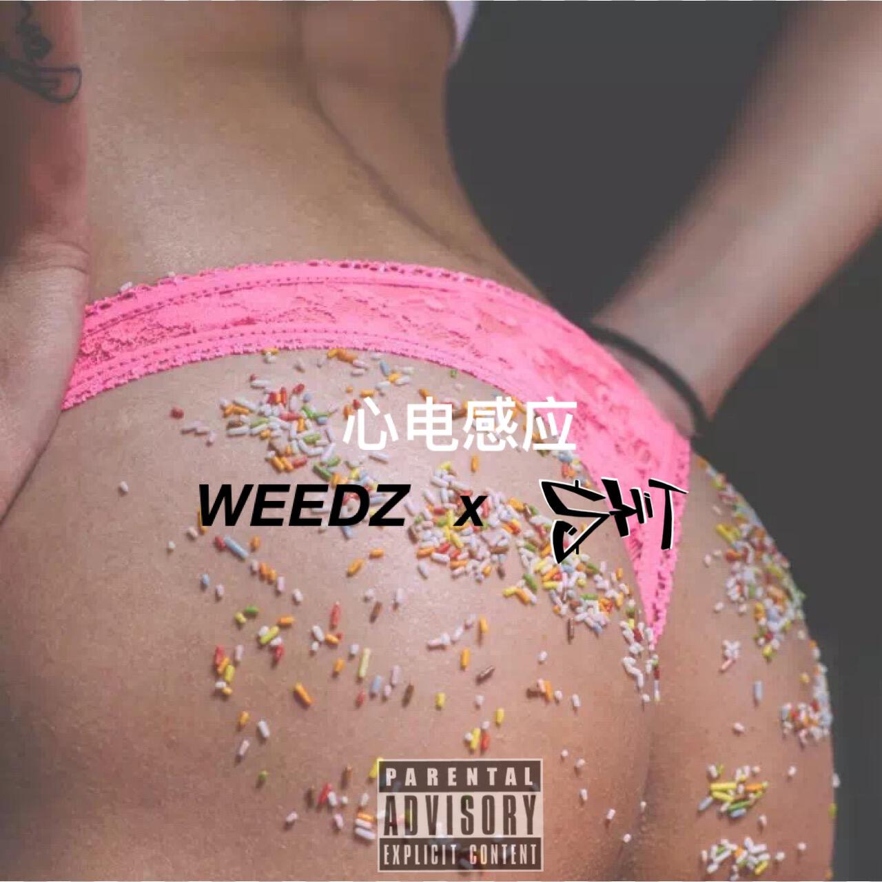維茲