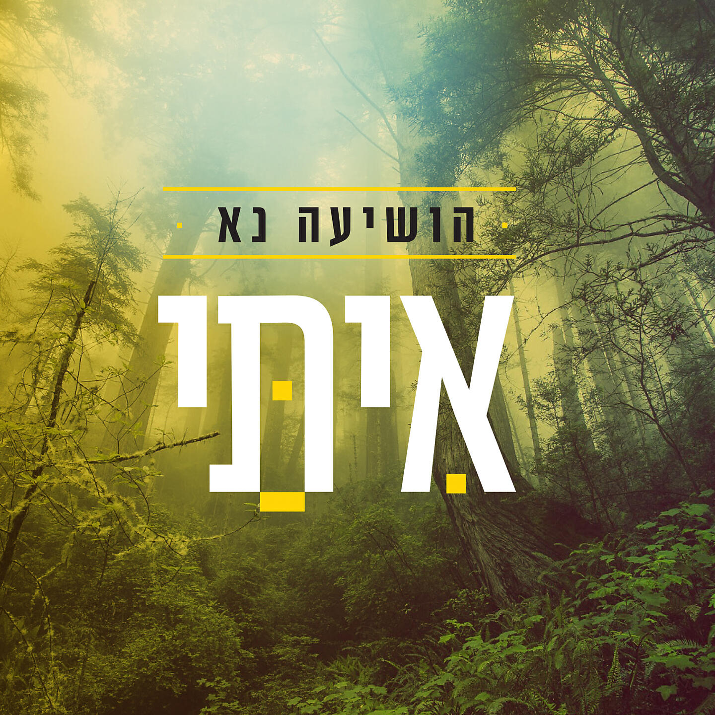 Релиз הושיעה נא