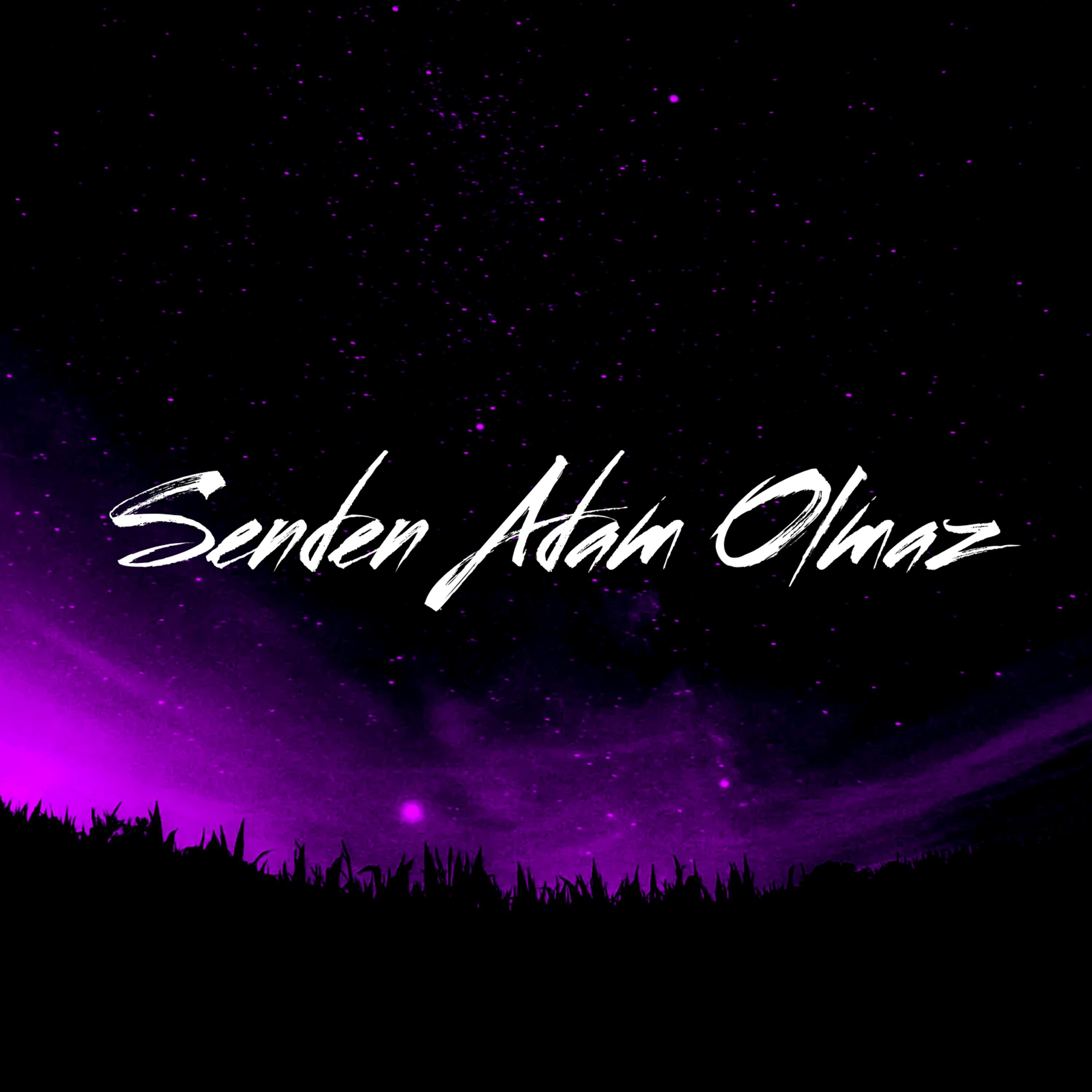 Постер альбома Senden Adam Olmaz