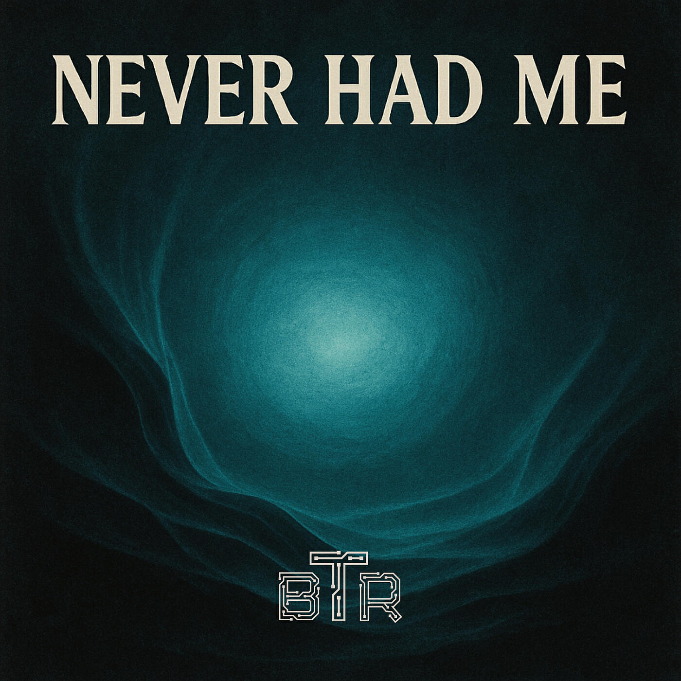 Постер альбома Never Had Me