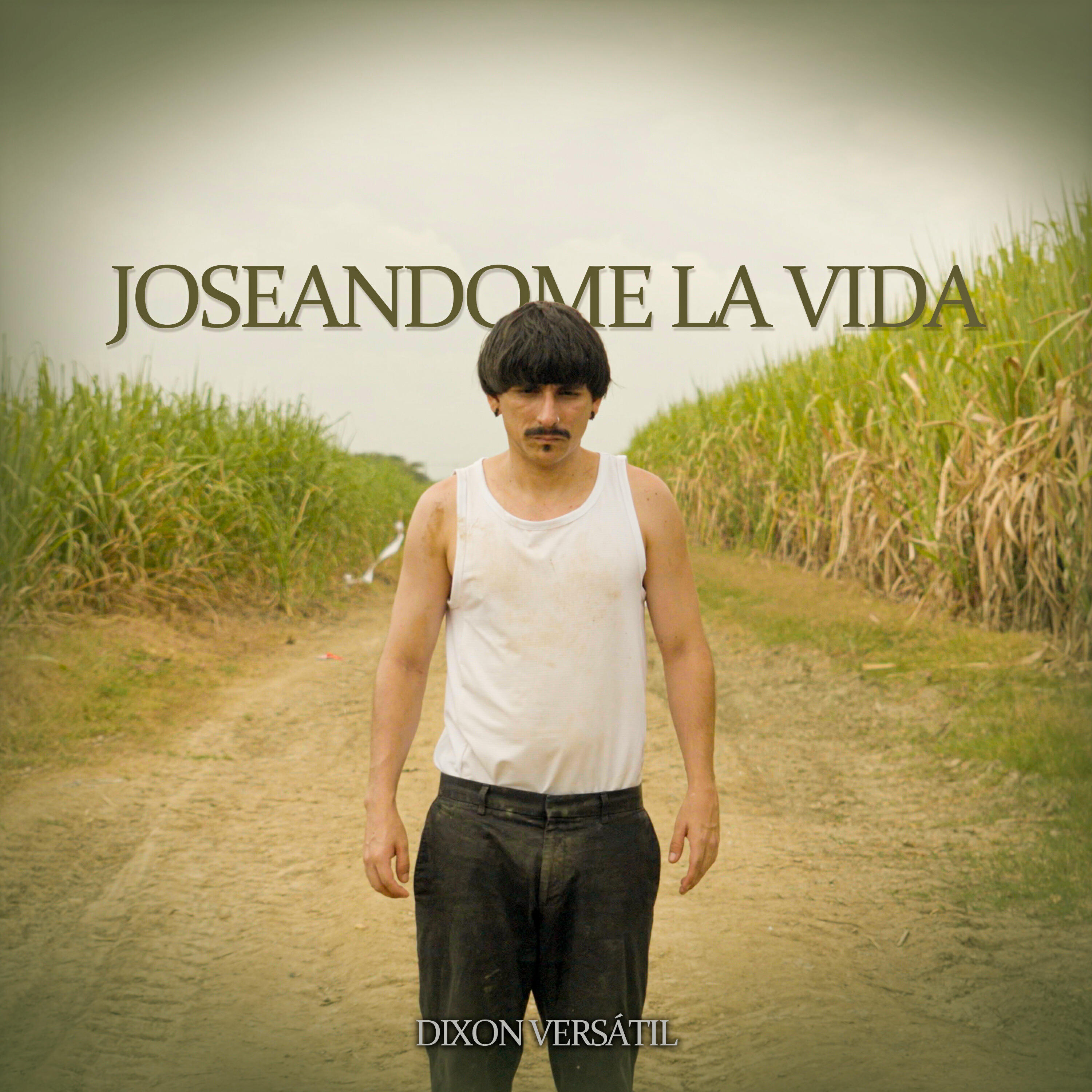 Релиз Joseandome la Vida