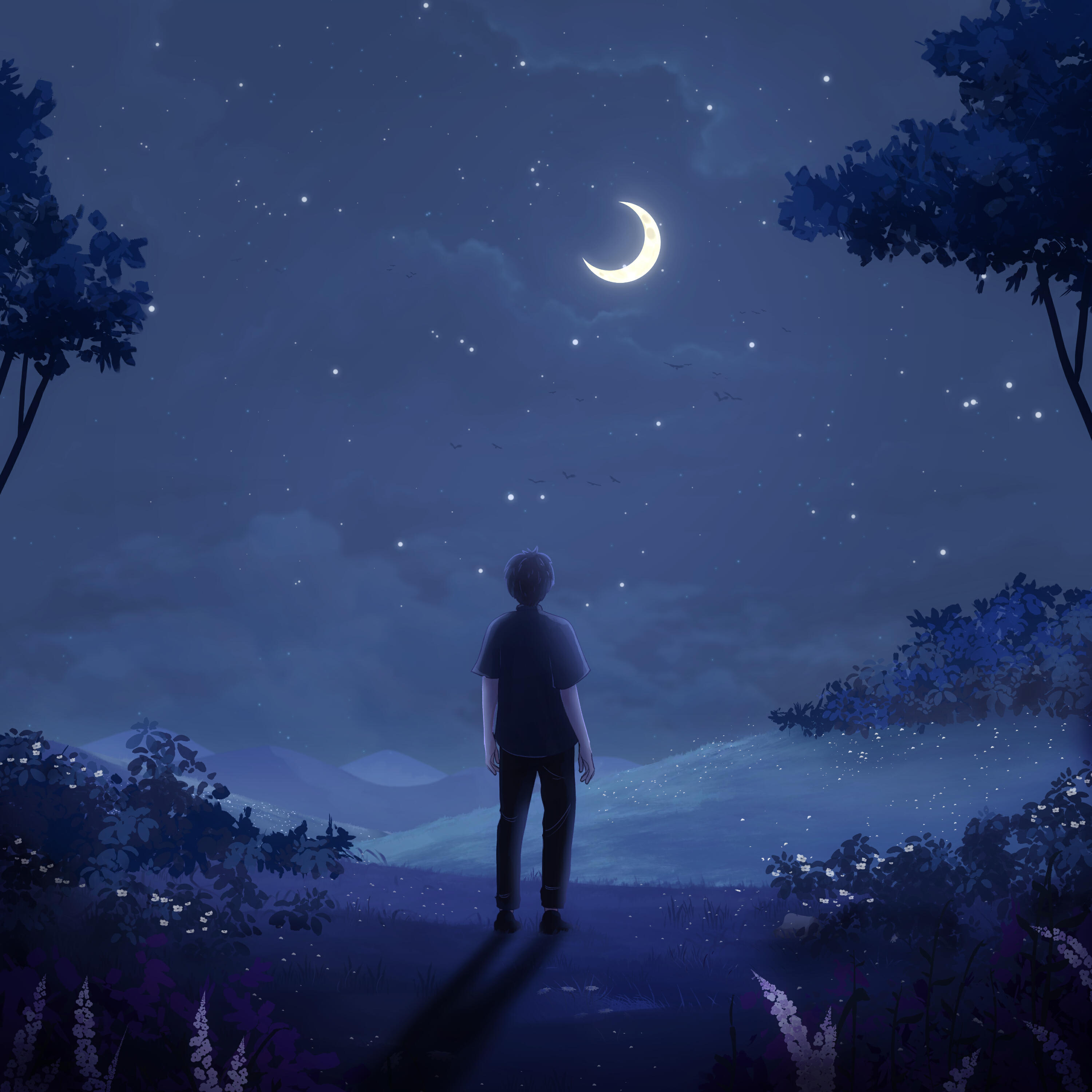 Релиз Falling Into Your Eyes