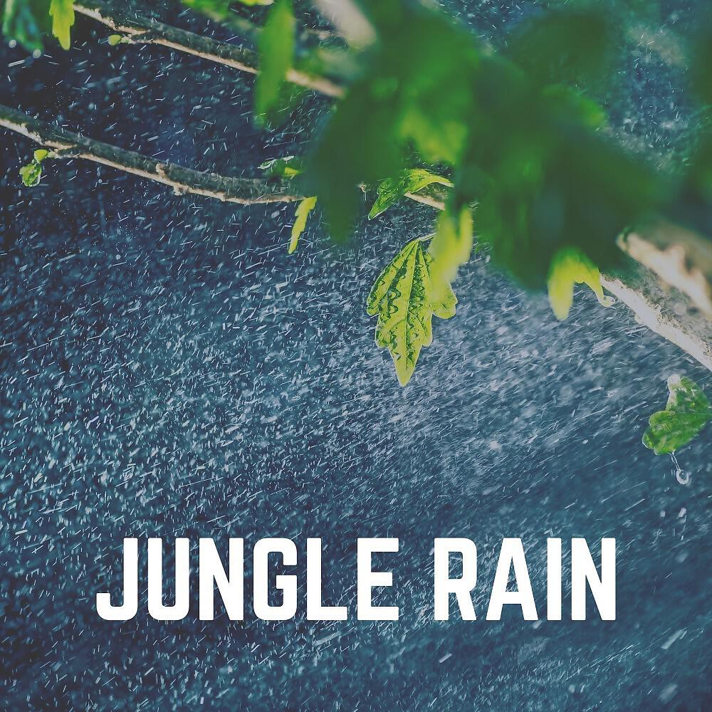 Релиз Jungle Rain